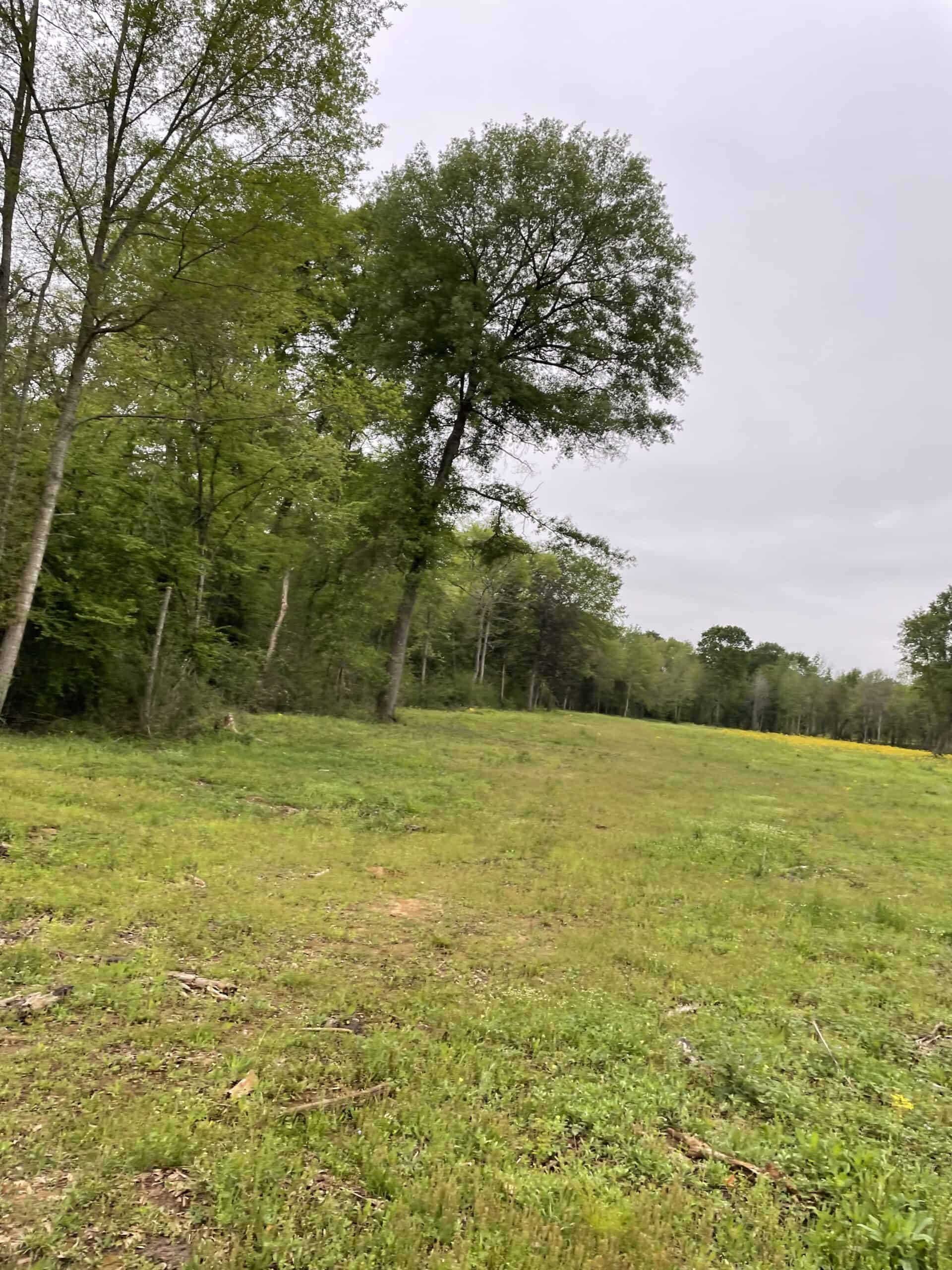 East Texas Recreational/Hunting Land For Sale
