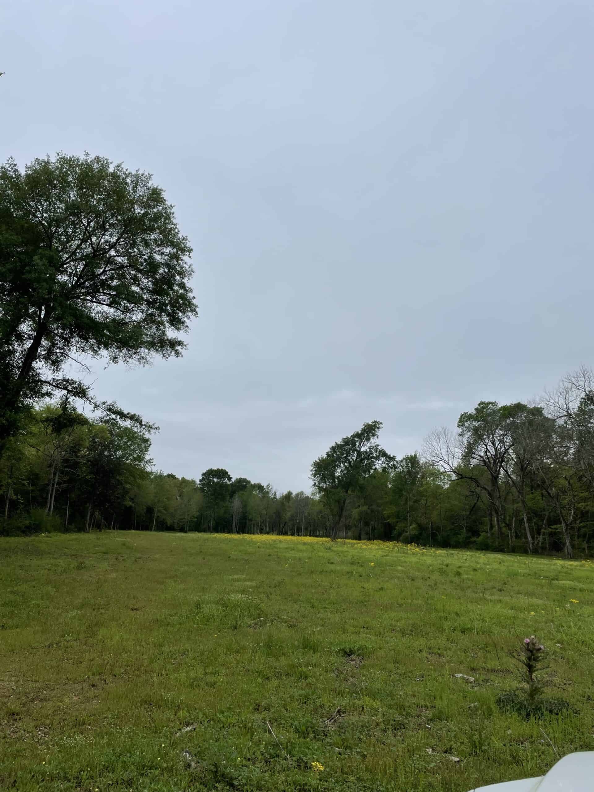 East Texas Recreational/Hunting Land For Sale