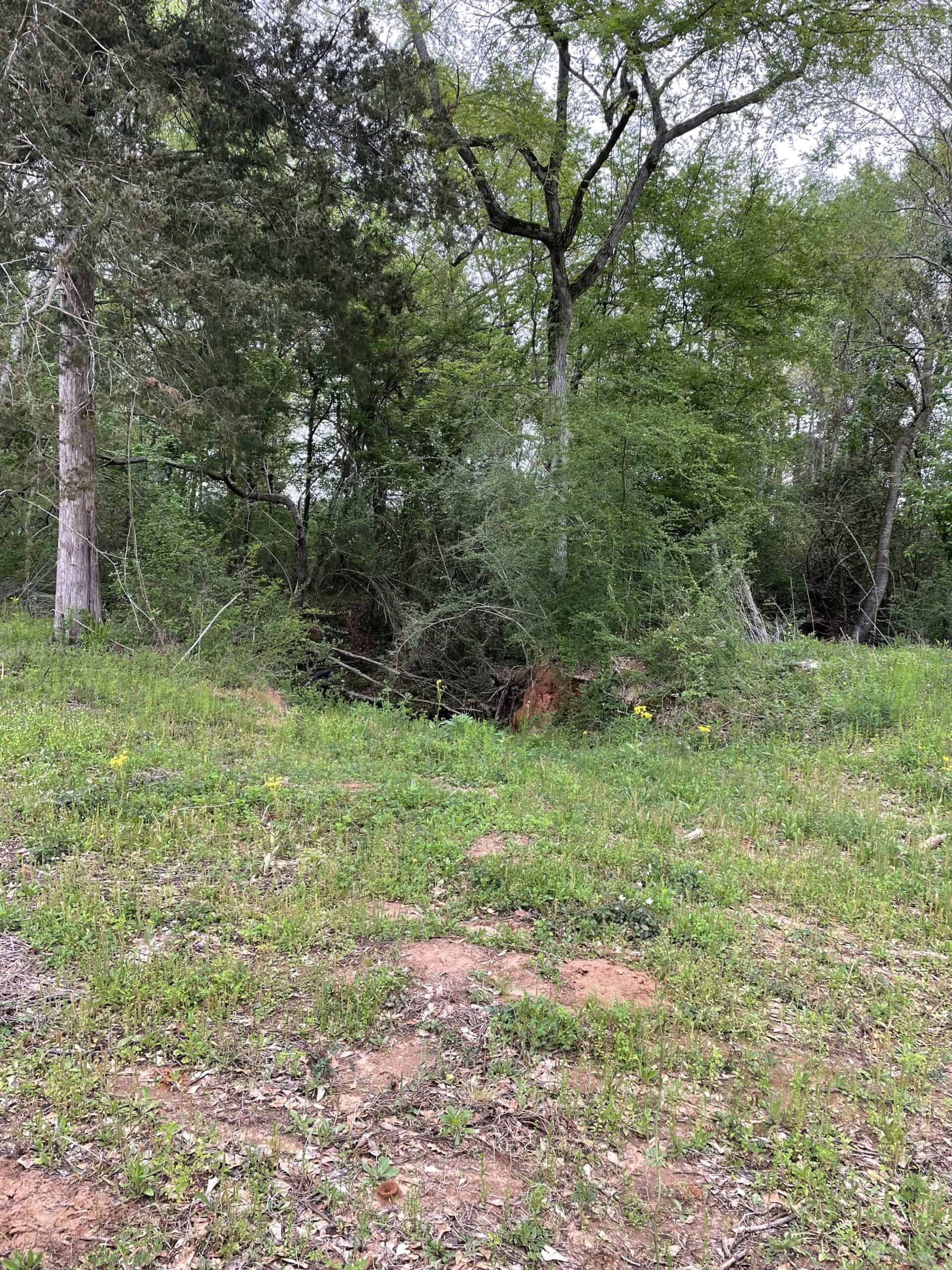East Texas Recreational/Hunting Land For Sale