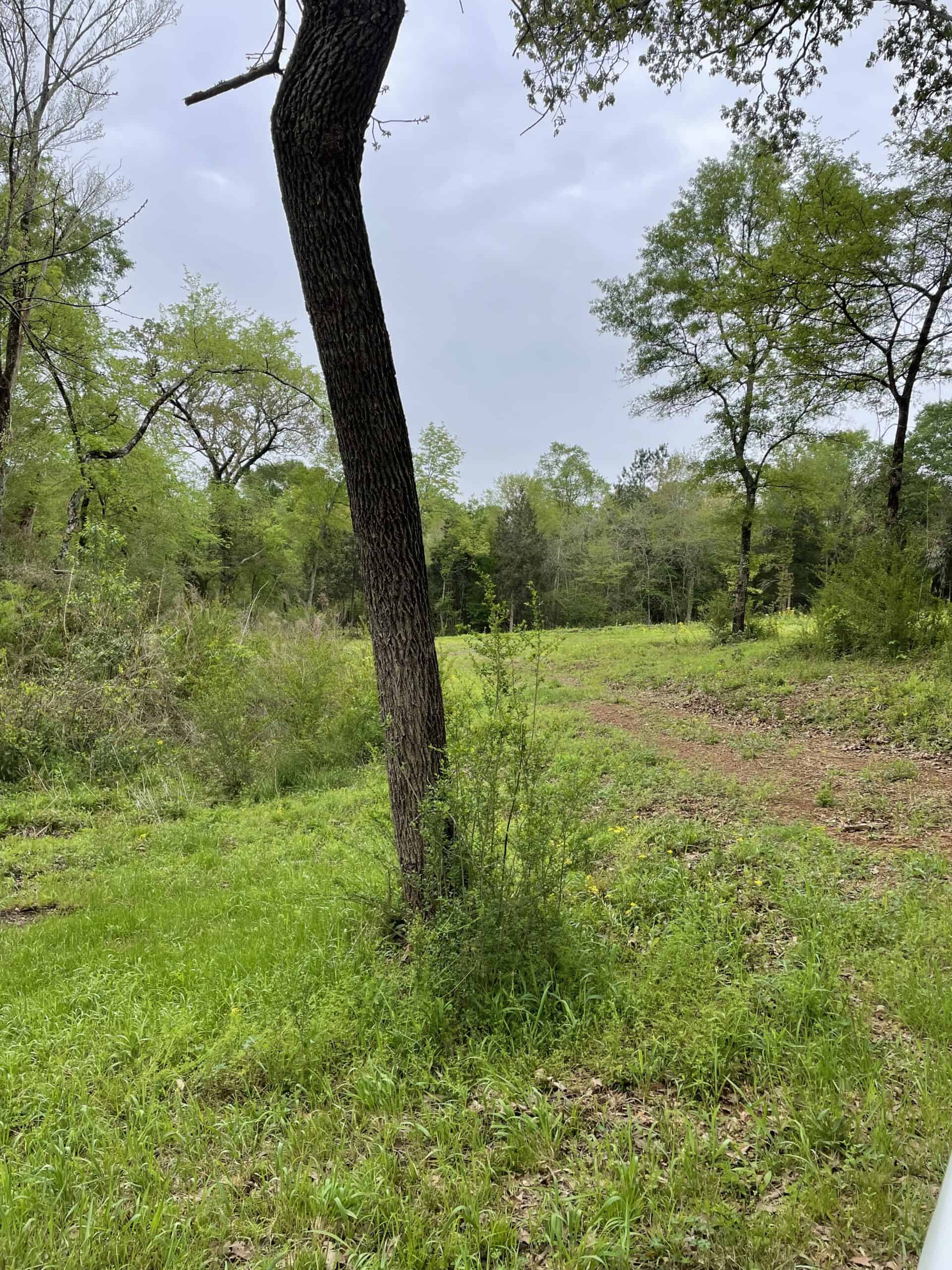 East Texas Recreational/Hunting Land For Sale