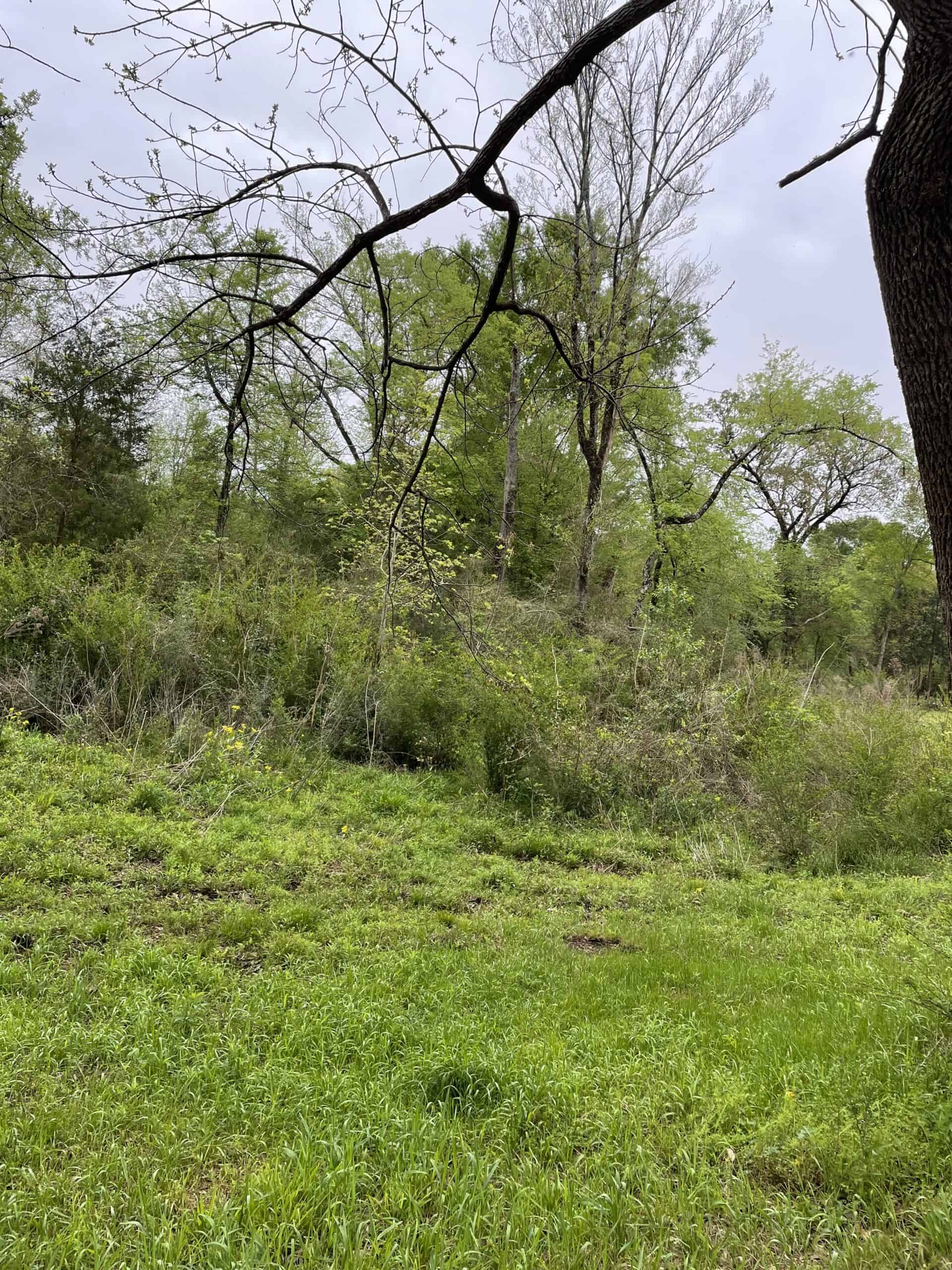 East Texas Recreational/Hunting Land For Sale