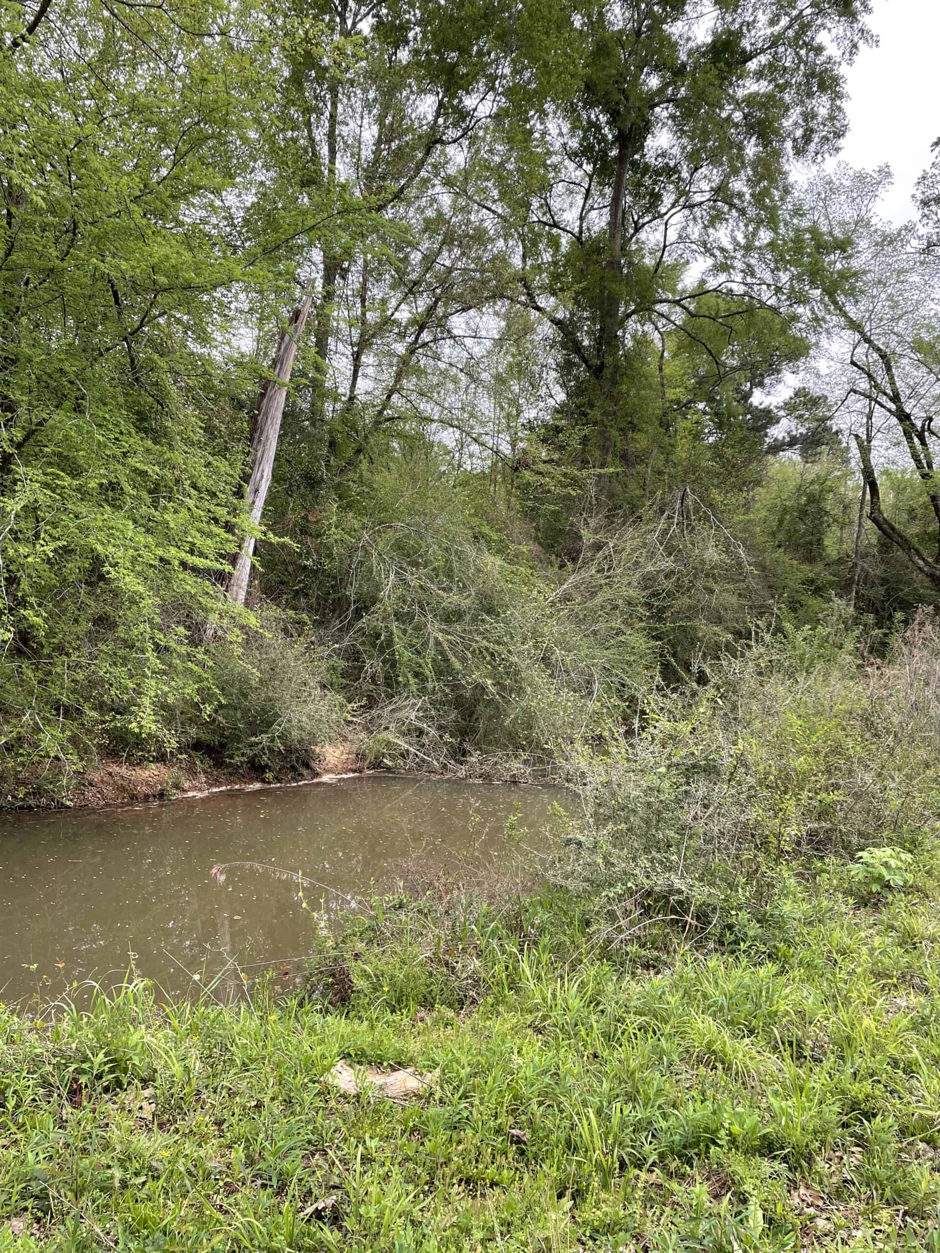 East Texas Recreational/Hunting Land For Sale