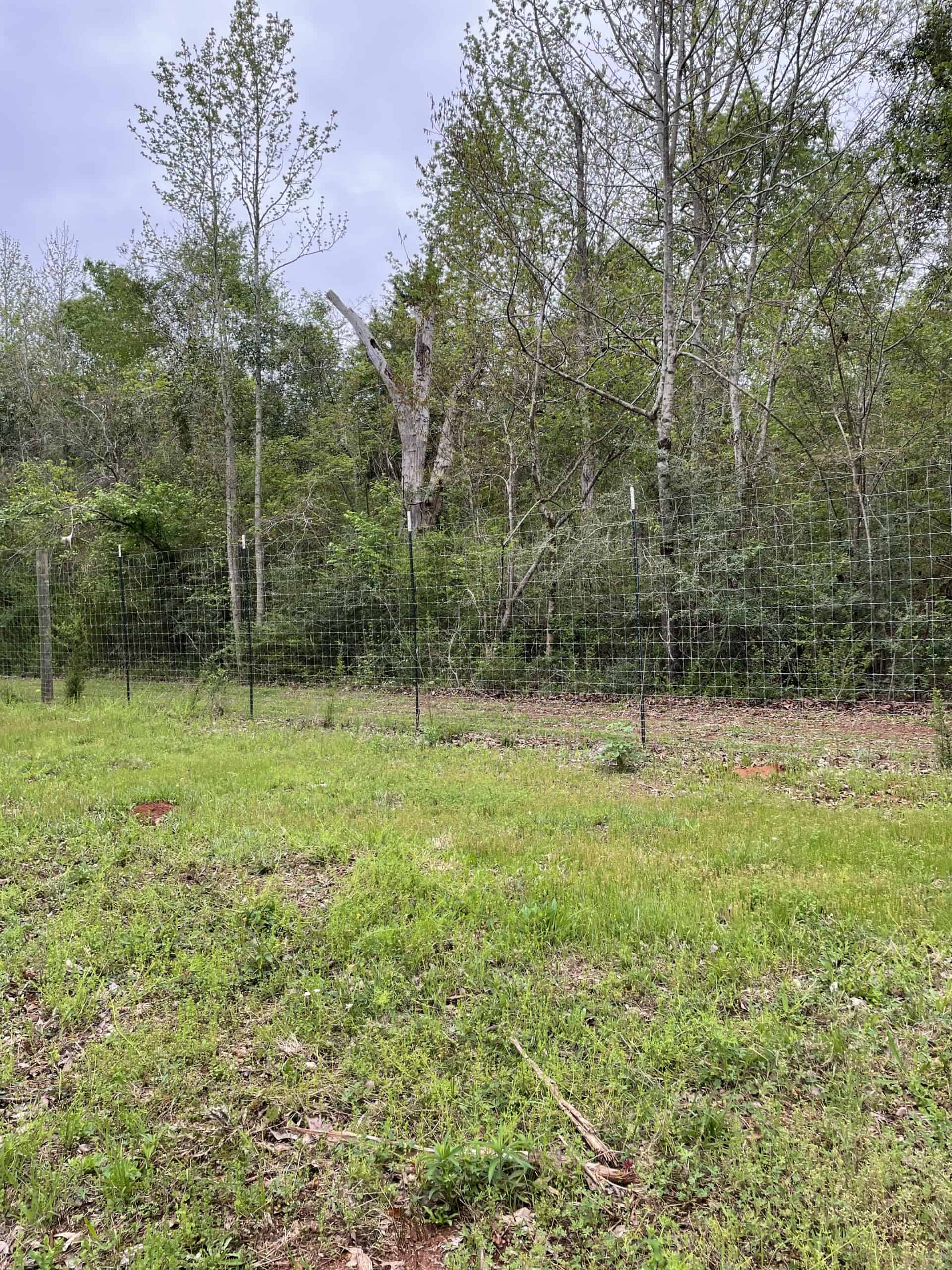 East Texas Recreational/Hunting Land For Sale