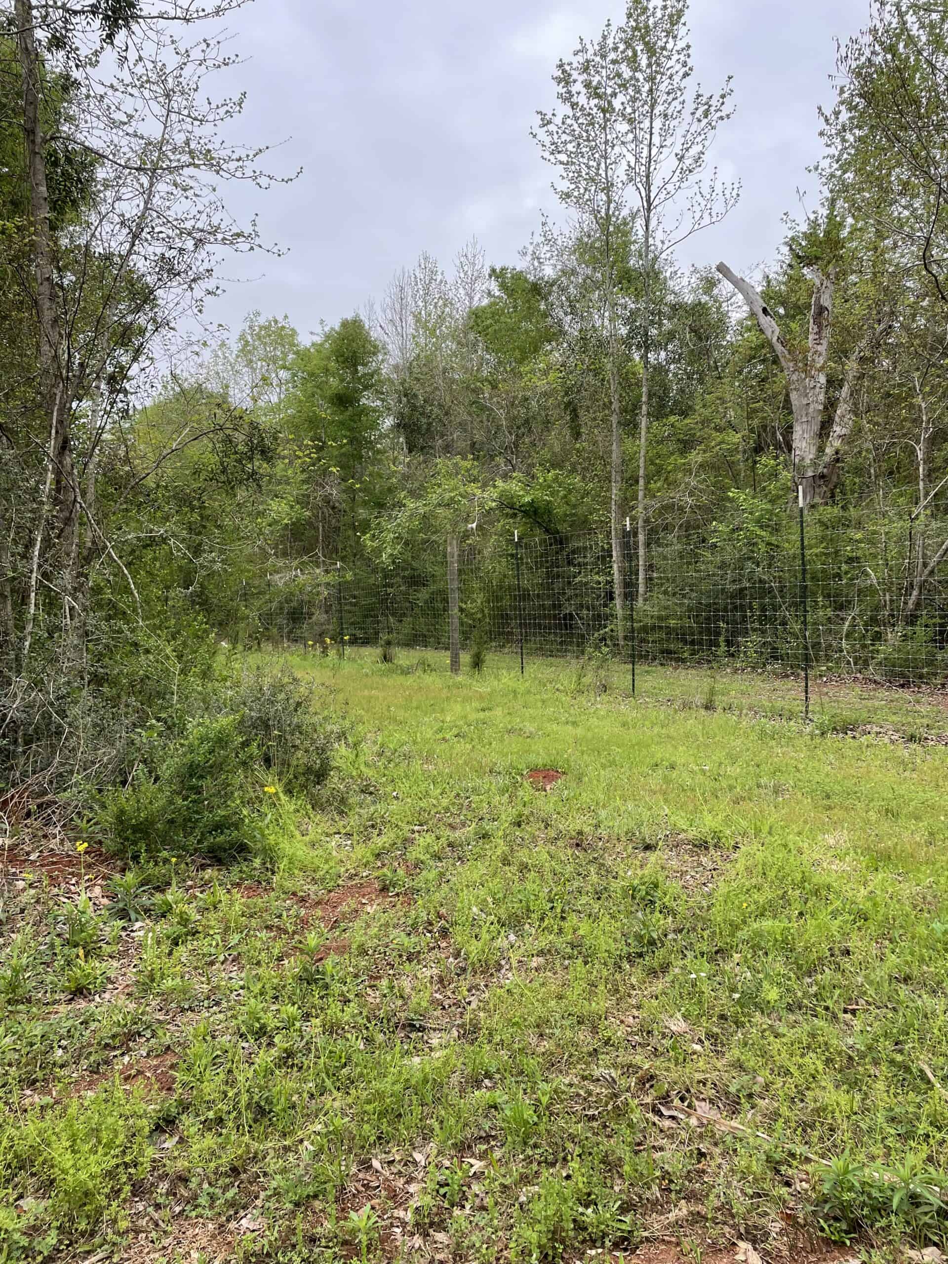 East Texas Recreational/Hunting Land For Sale