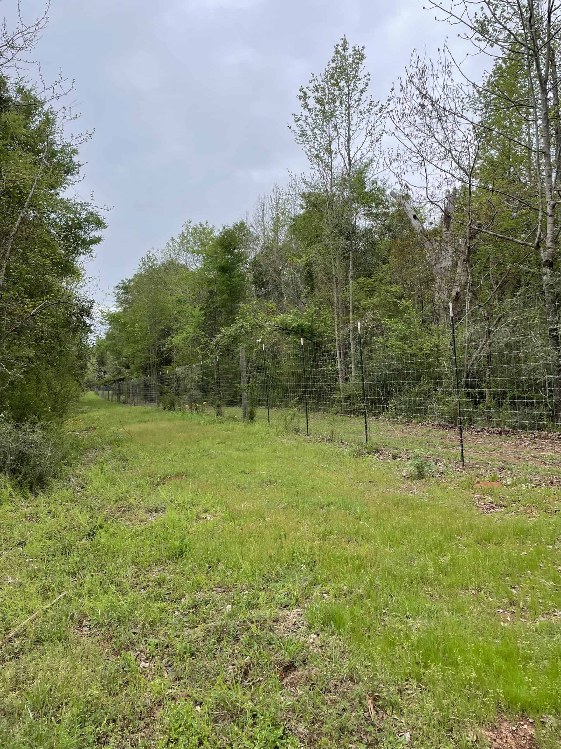 East Texas Recreational/Hunting Land For Sale