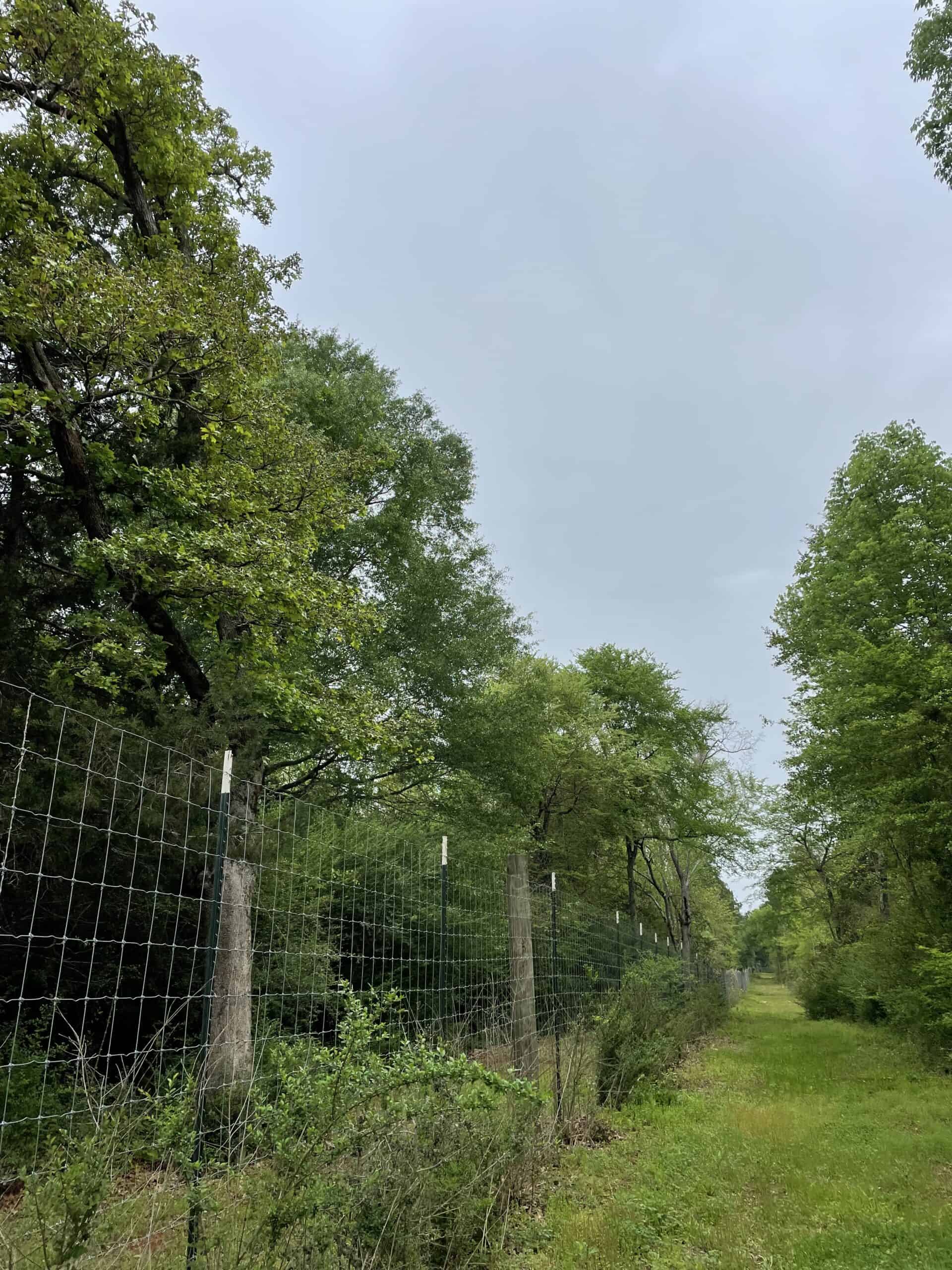 East Texas Recreational/Hunting Land For Sale