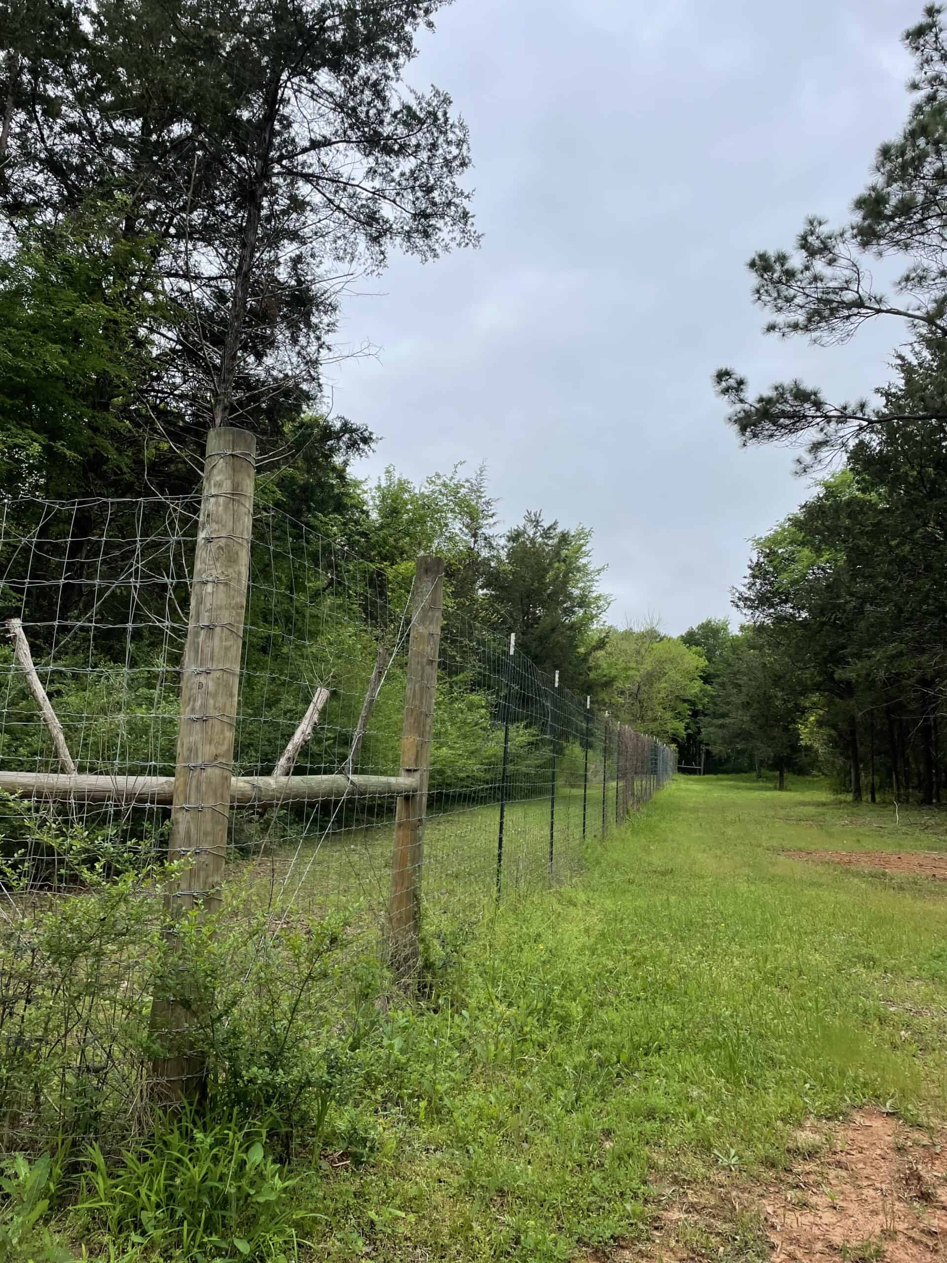 East Texas Recreational/Hunting Land For Sale