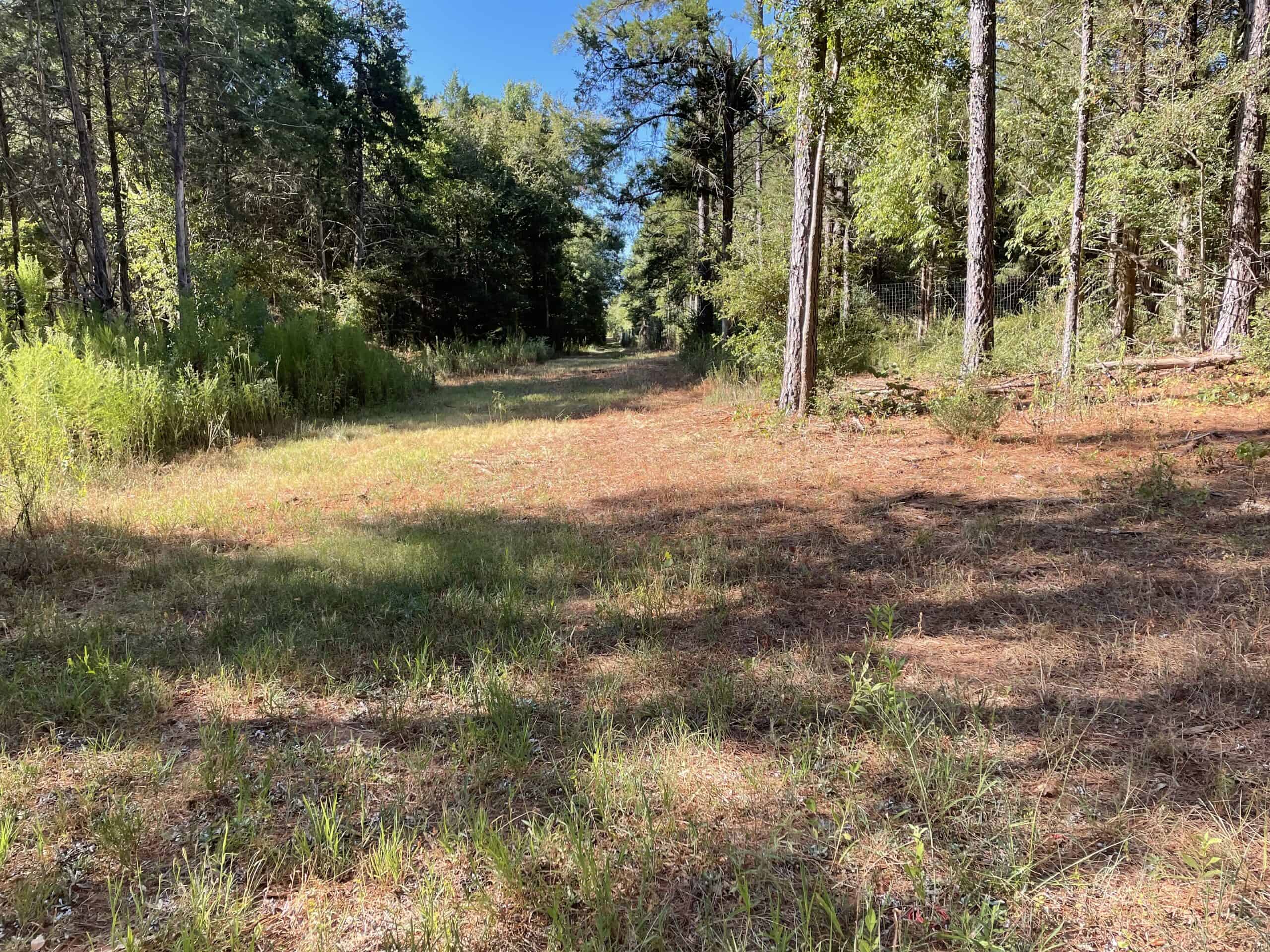 East Texas Recreational/Hunting Land For Sale