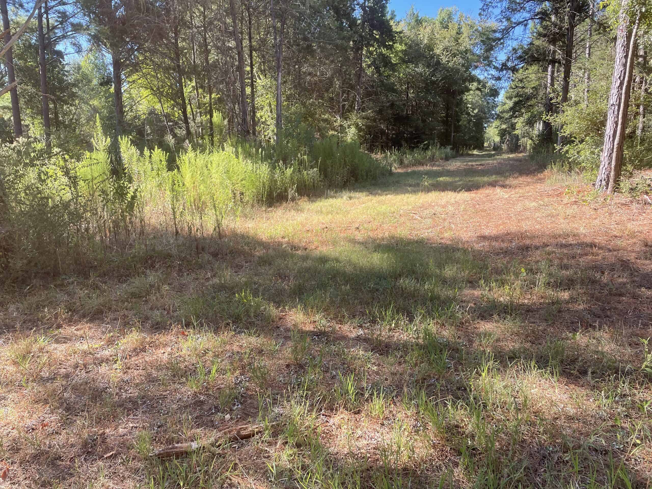 East Texas Recreational/Hunting Land For Sale
