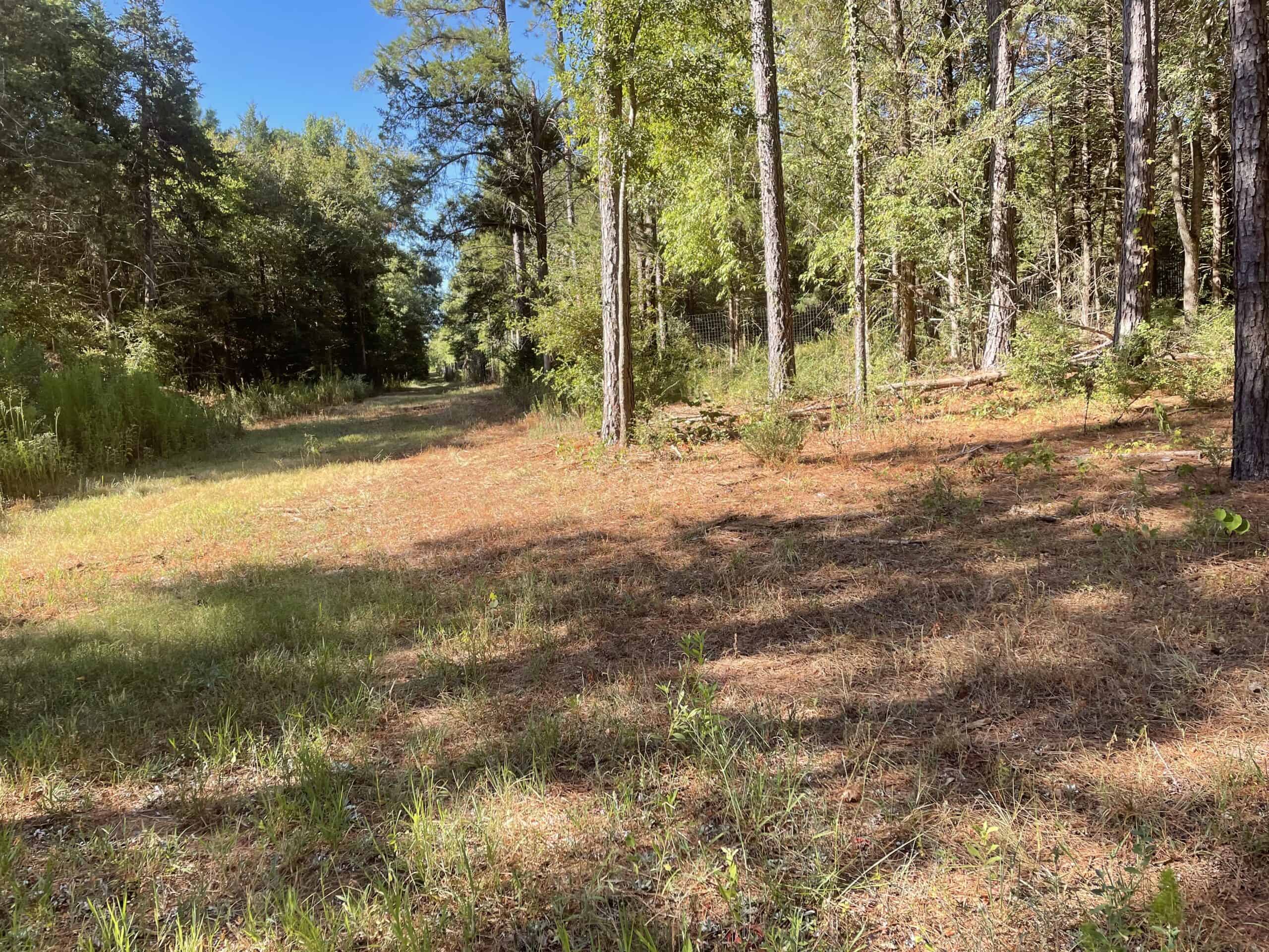 East Texas Recreational/Hunting Land For Sale