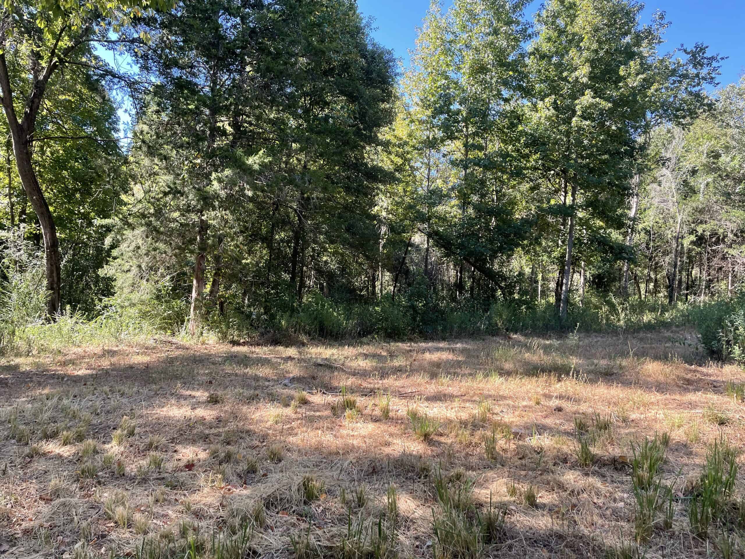 East Texas Recreational/Hunting Land For Sale