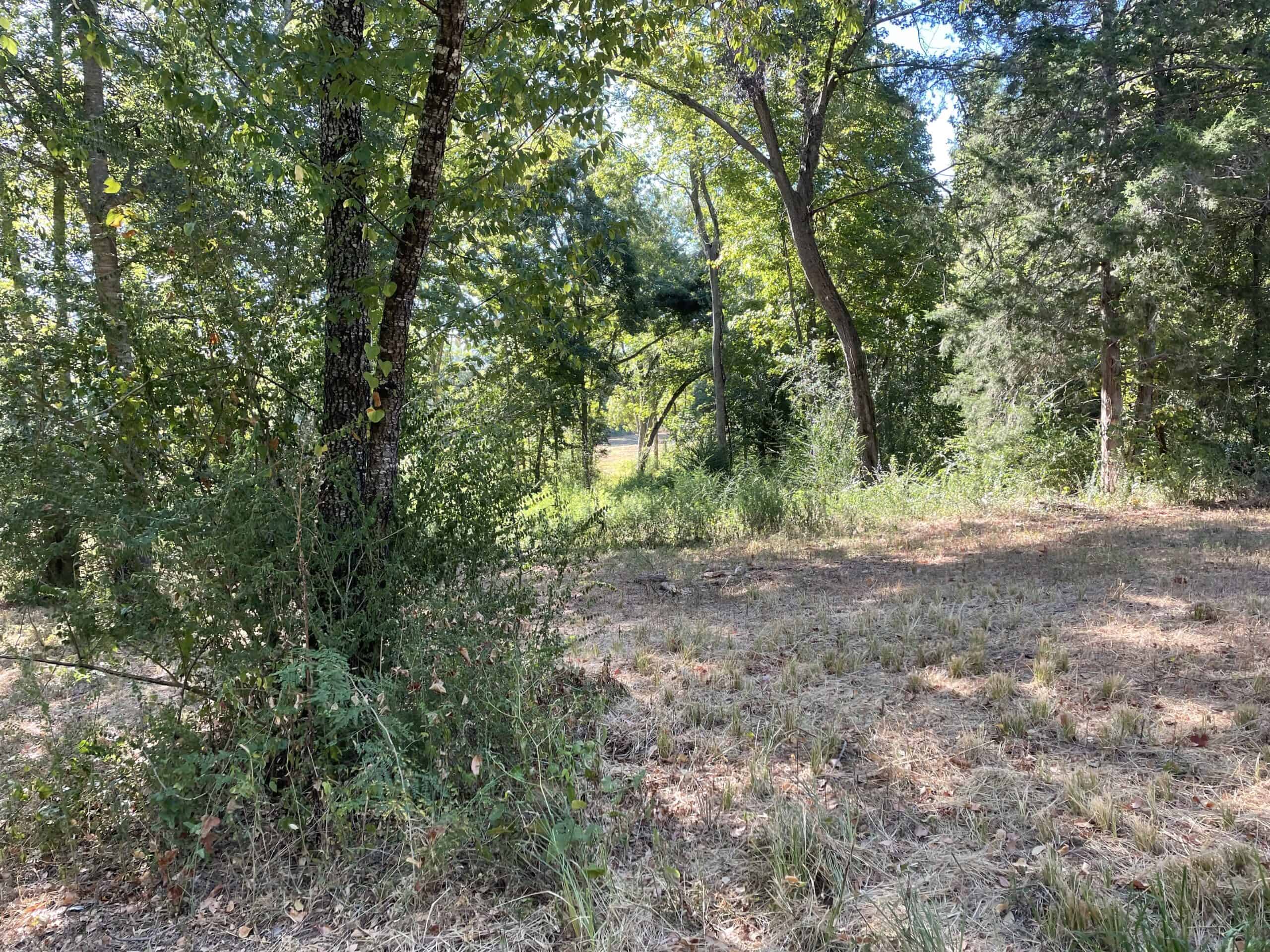 East Texas Recreational/Hunting Land For Sale