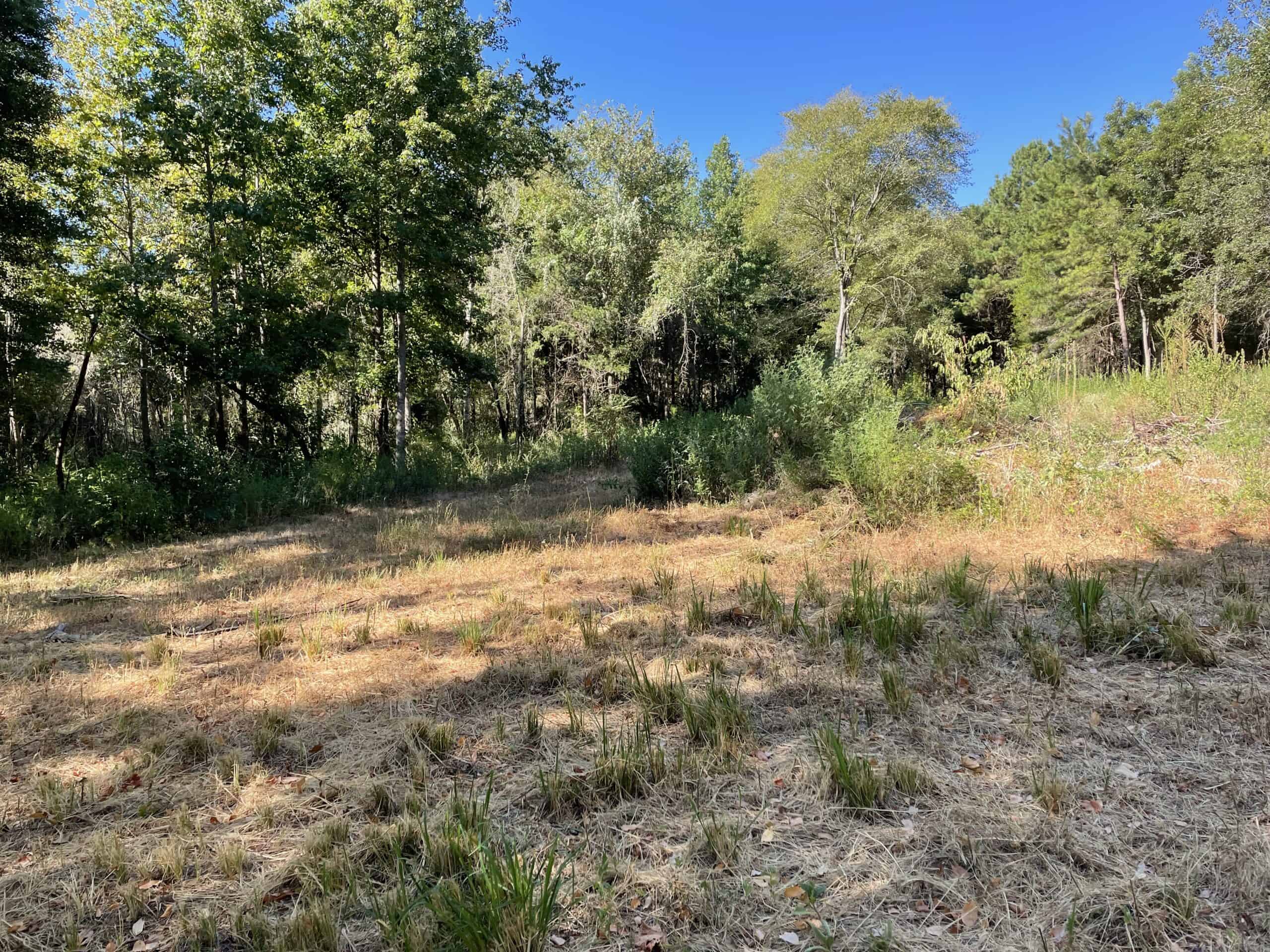 East Texas Recreational/Hunting Land For Sale