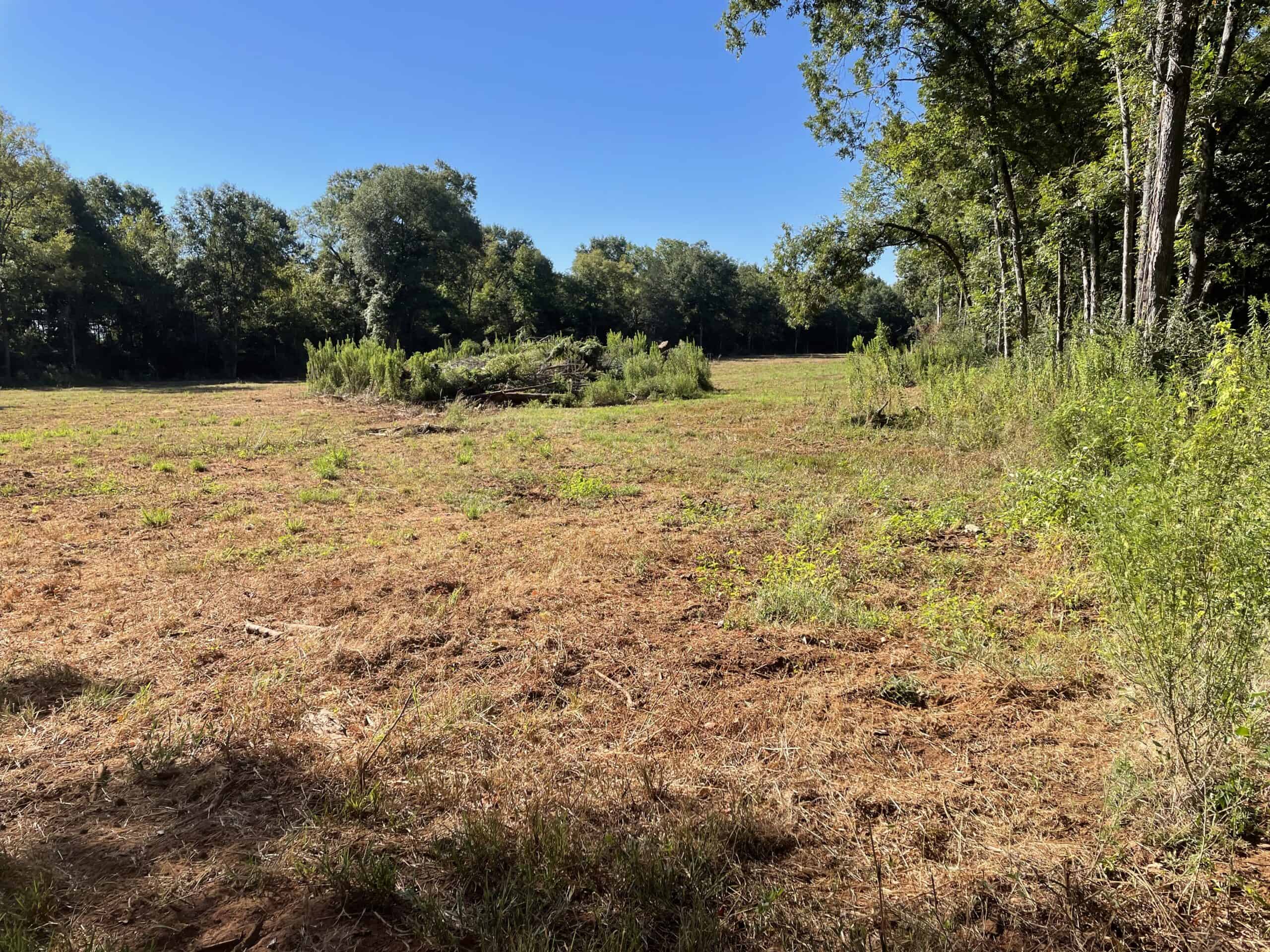 East Texas Recreational/Hunting Land For Sale