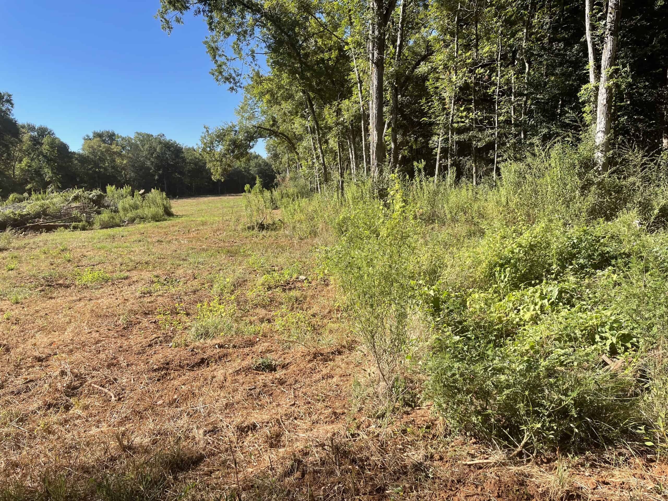 East Texas Recreational/Hunting Land For Sale