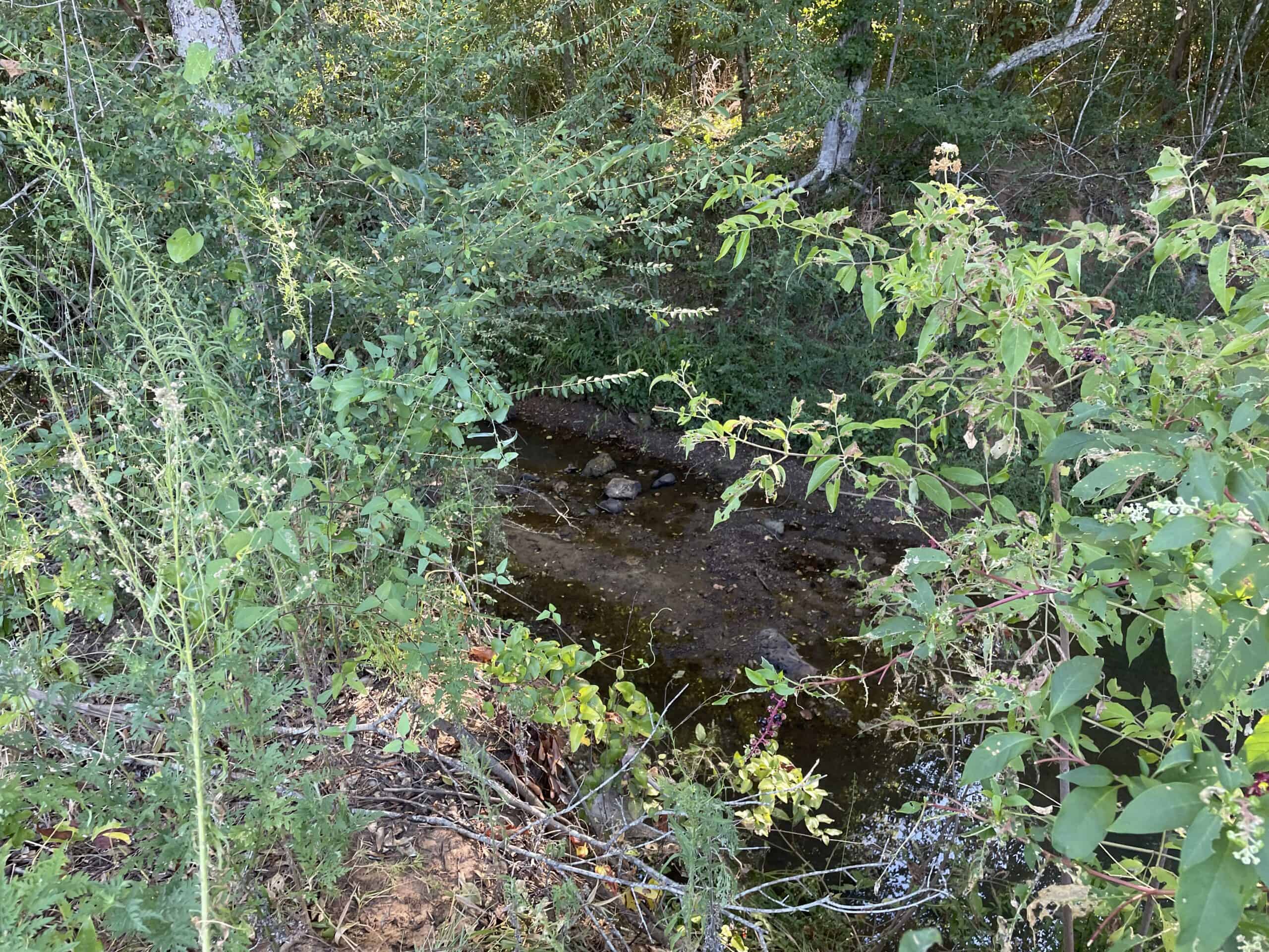 East Texas Recreational/Hunting Land For Sale