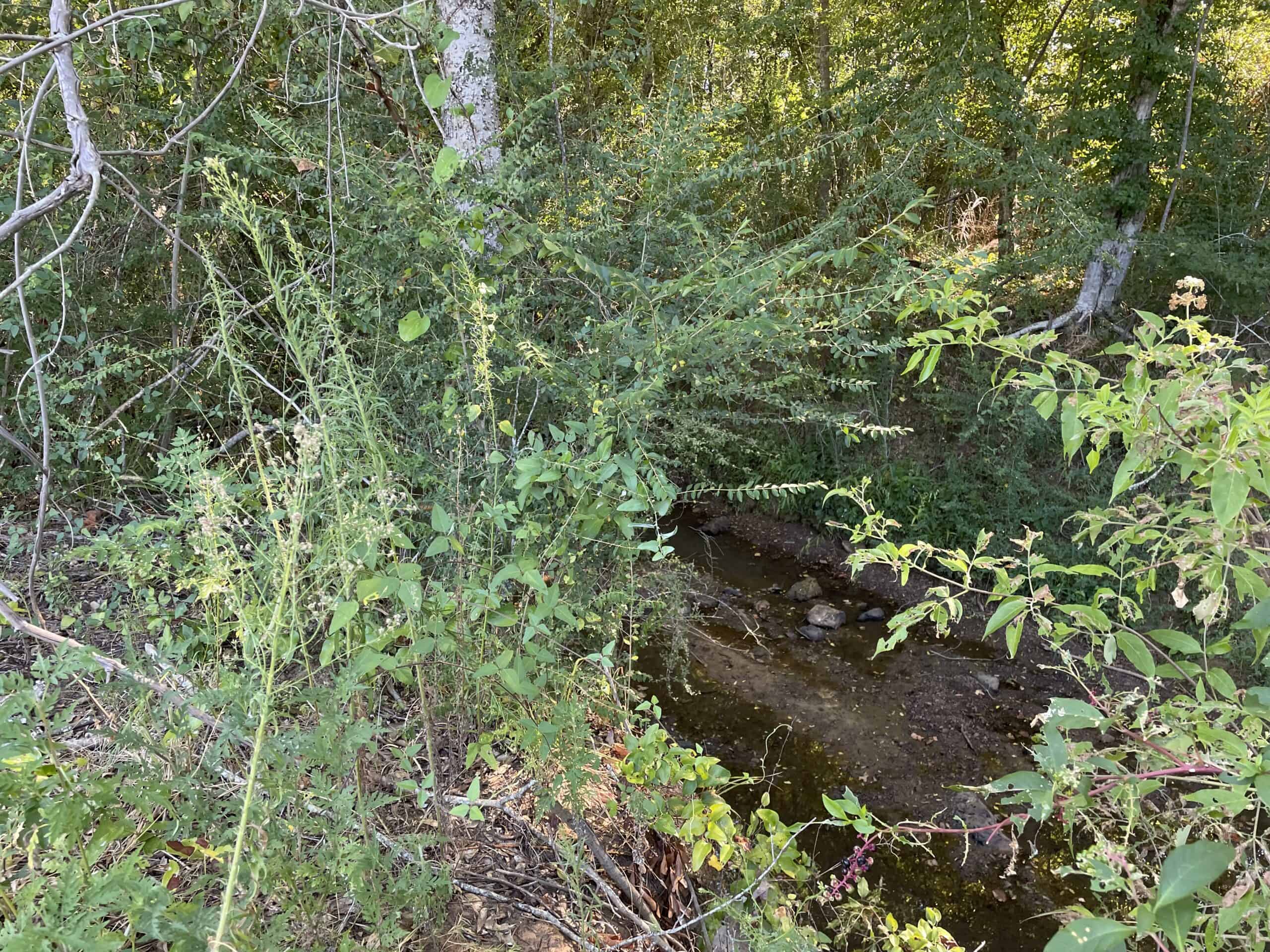 East Texas Recreational/Hunting Land For Sale