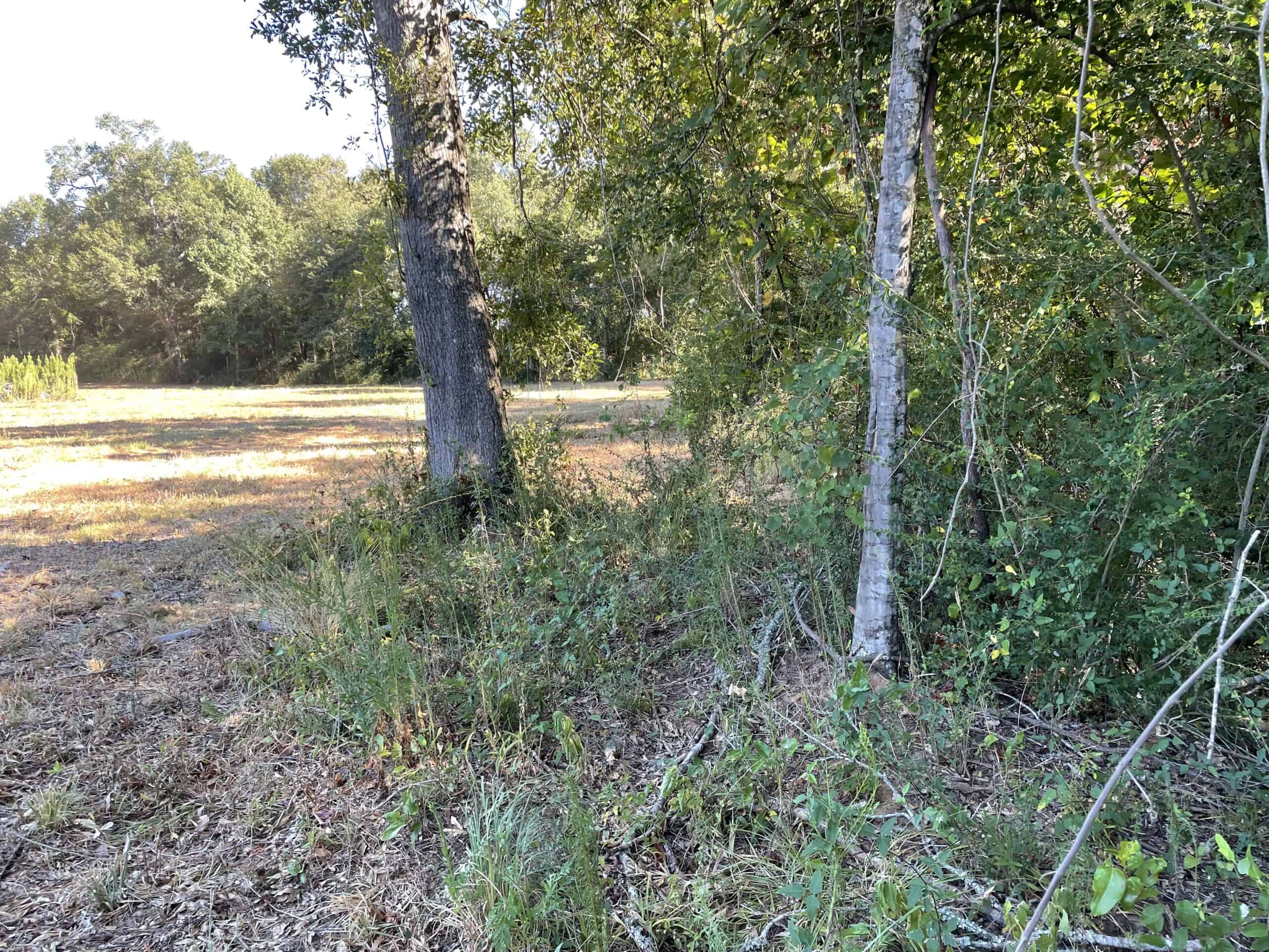 East Texas Recreational/Hunting Land For Sale