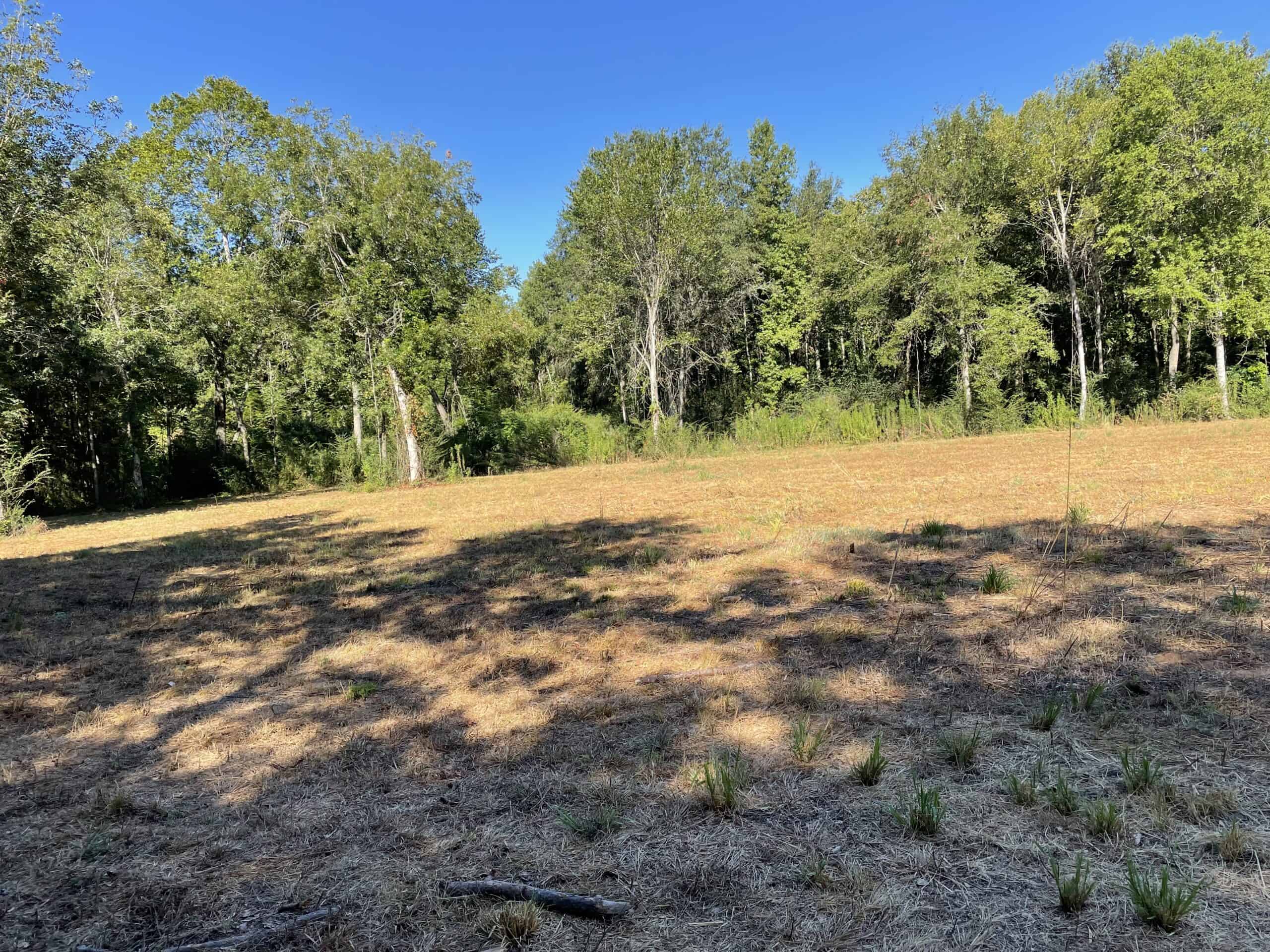East Texas Recreational/Hunting Land For Sale