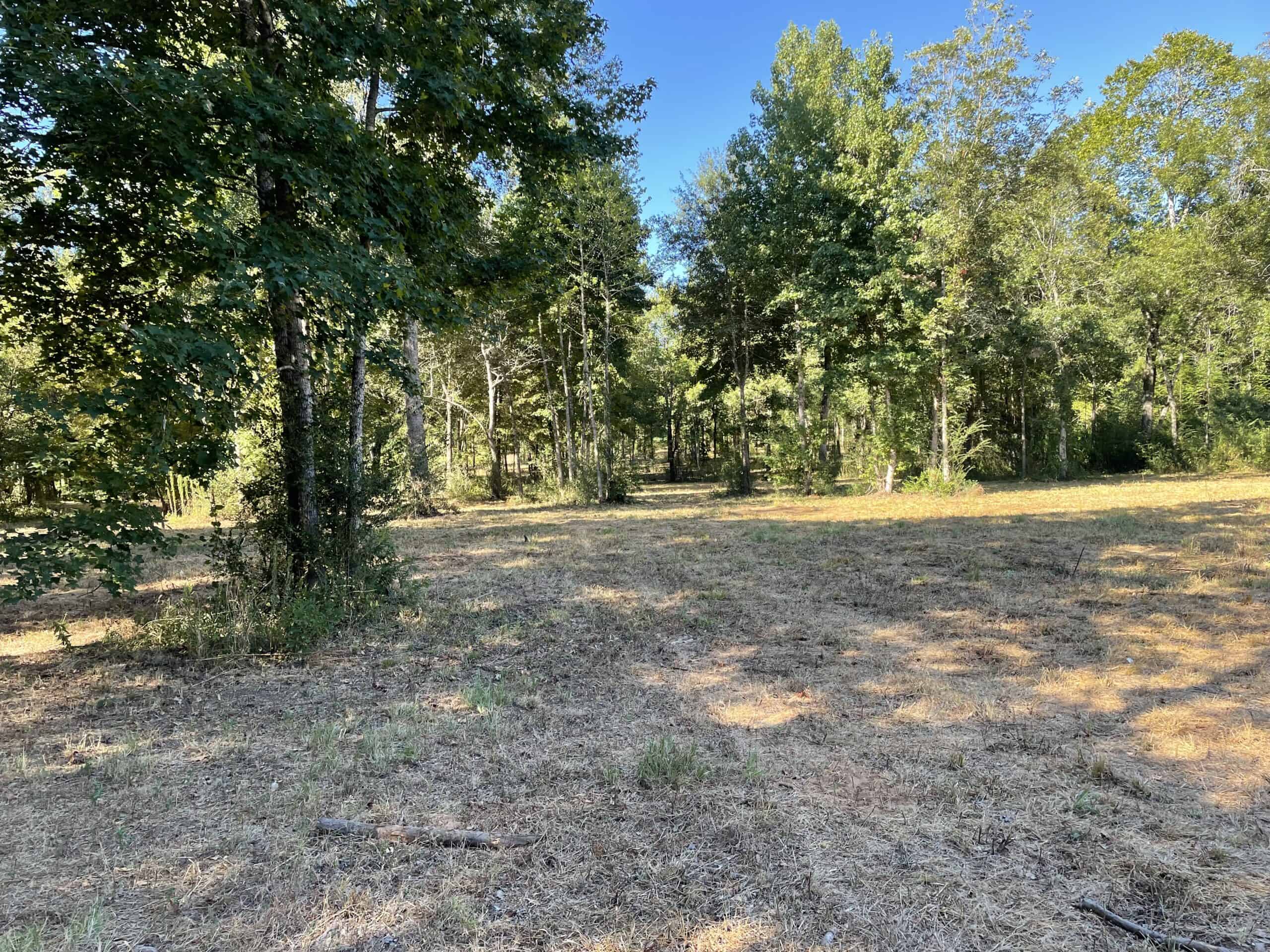 East Texas Recreational/Hunting Land For Sale