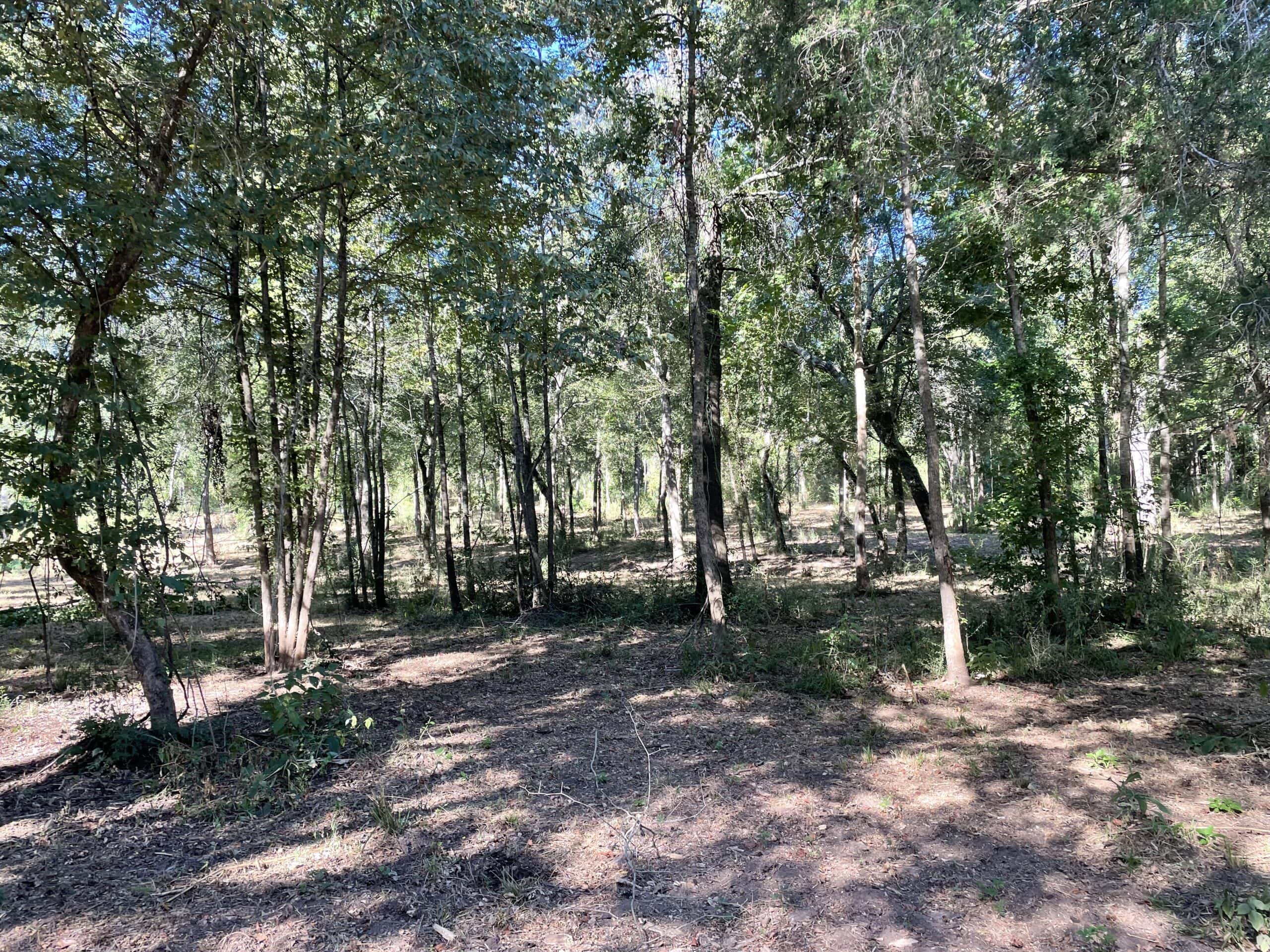 East Texas Recreational/Hunting Land For Sale