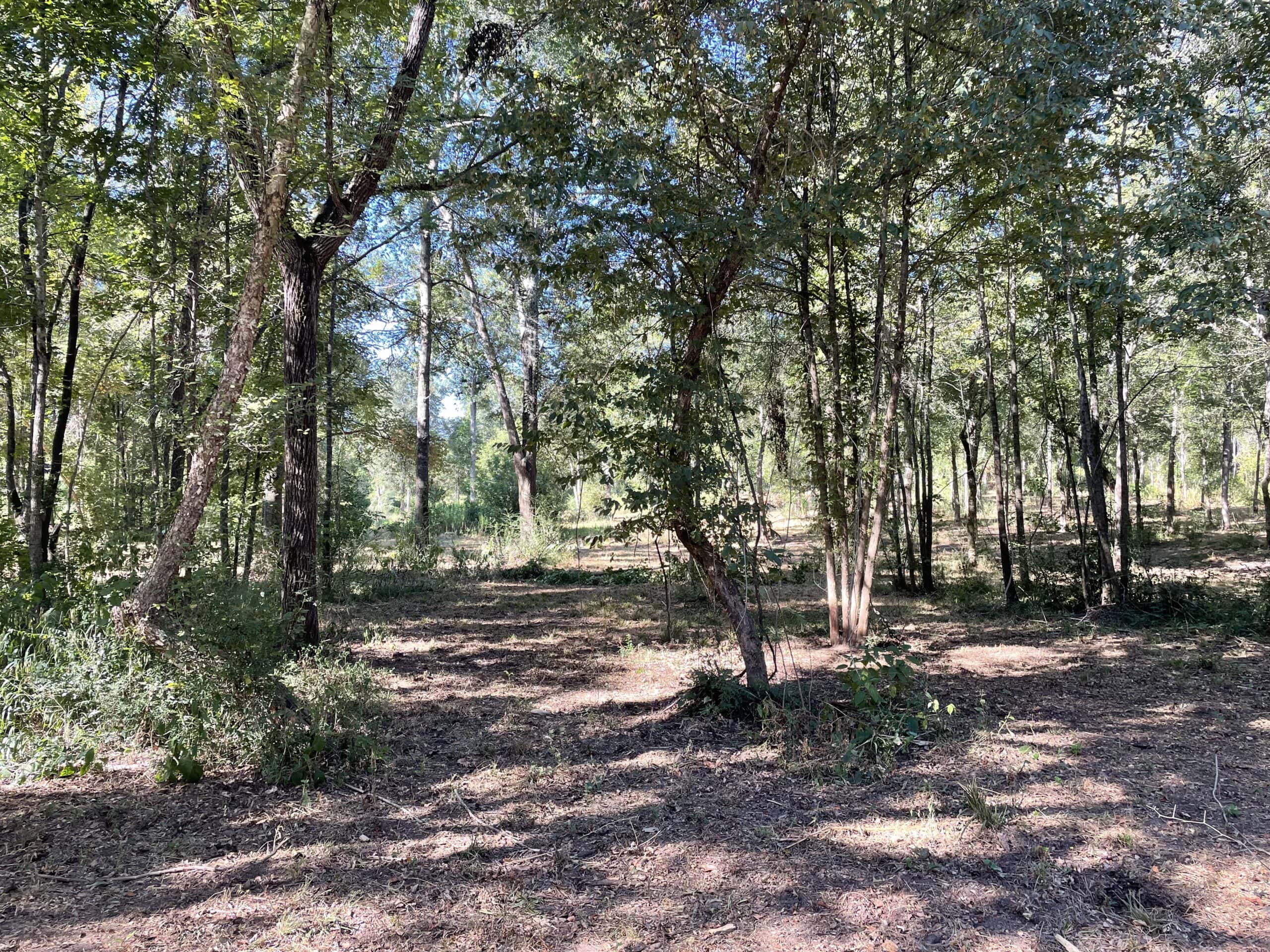 East Texas Recreational/Hunting Land For Sale