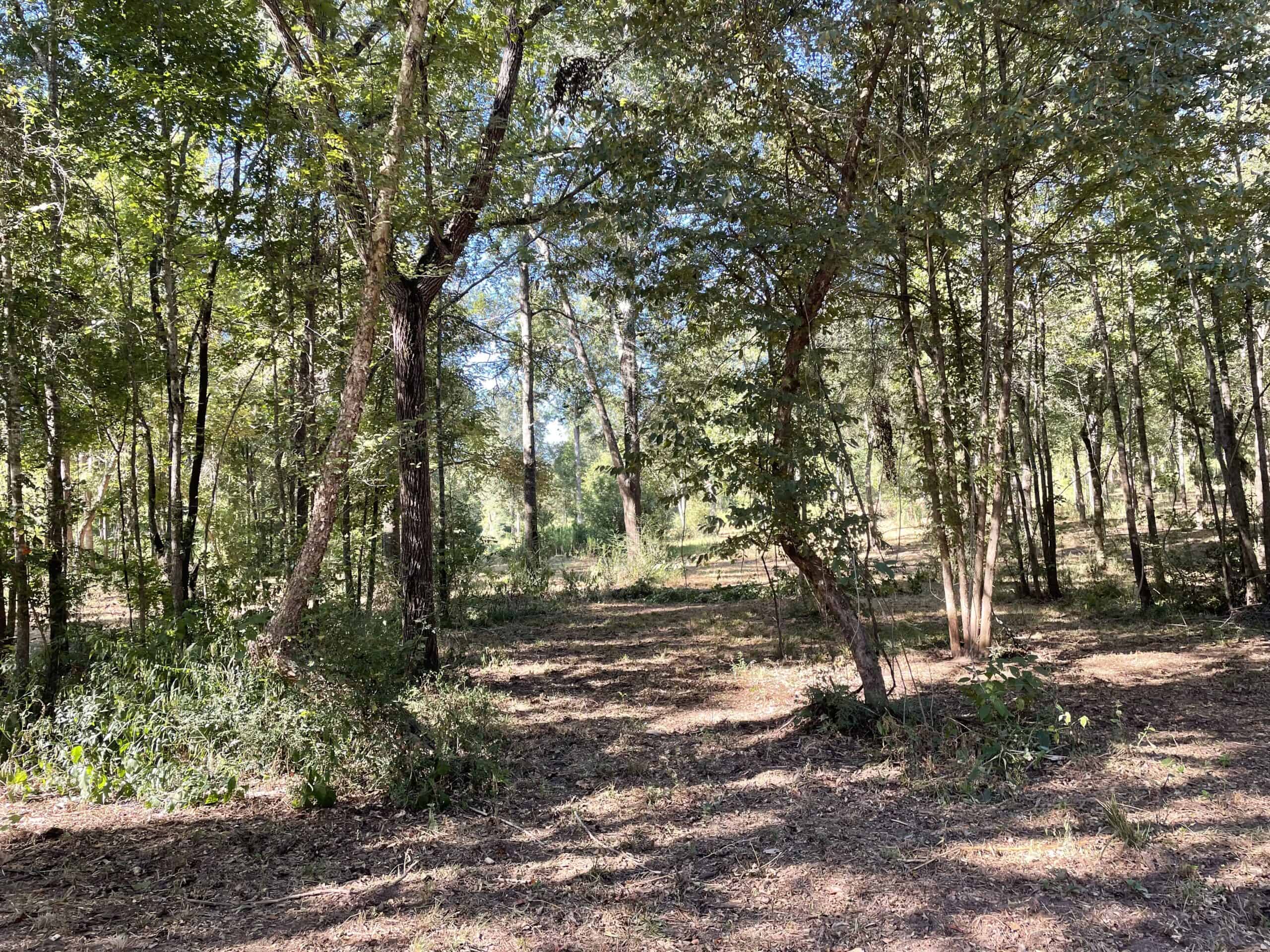 East Texas Recreational/Hunting Land For Sale