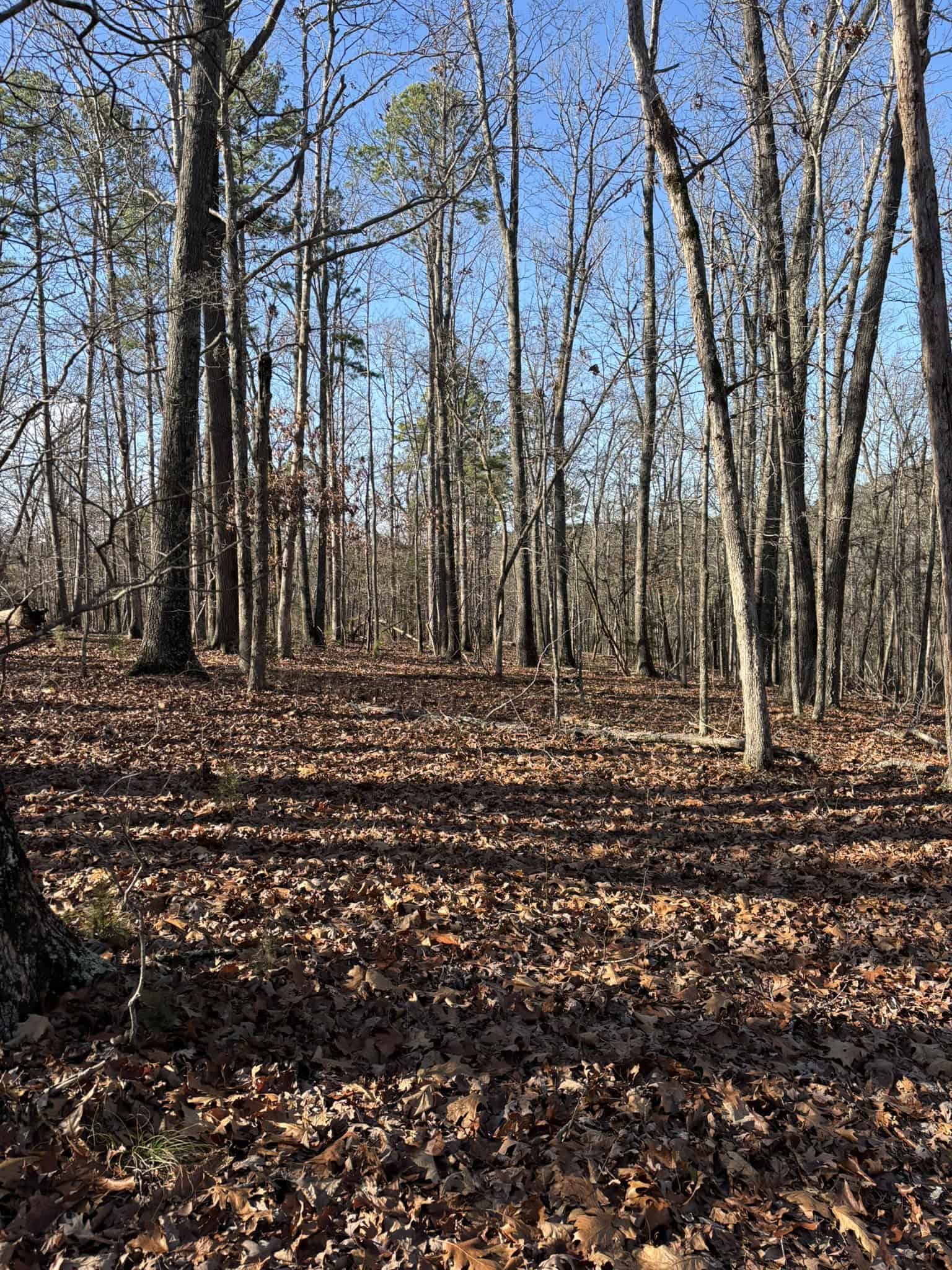 Land for Sale in North Central Arkansas