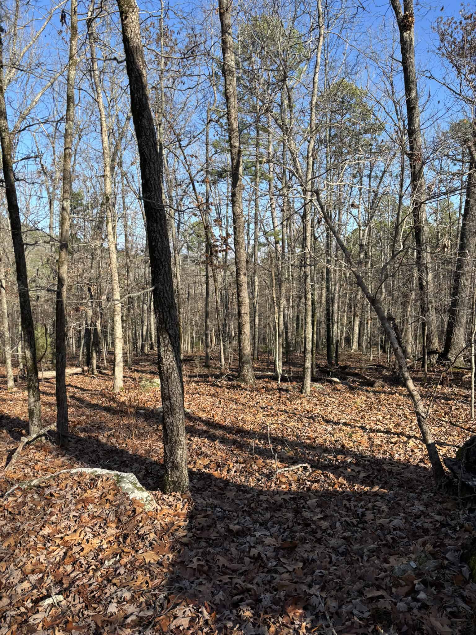 Land for Sale in North Central Arkansas