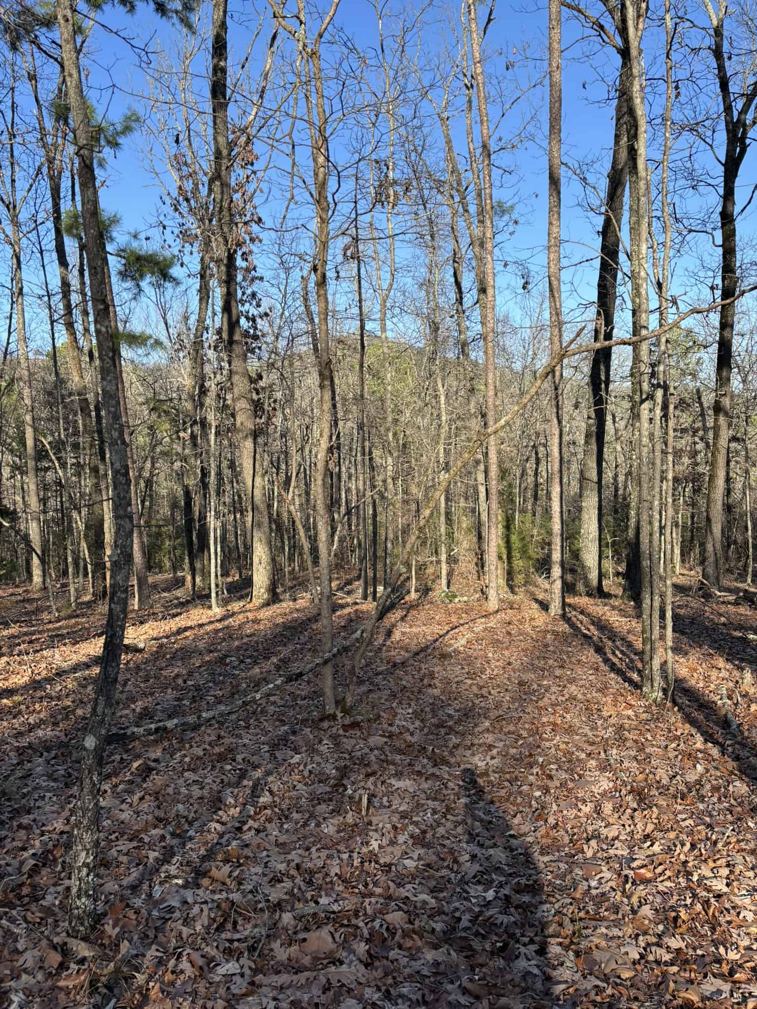 Land for Sale in North Central Arkansas