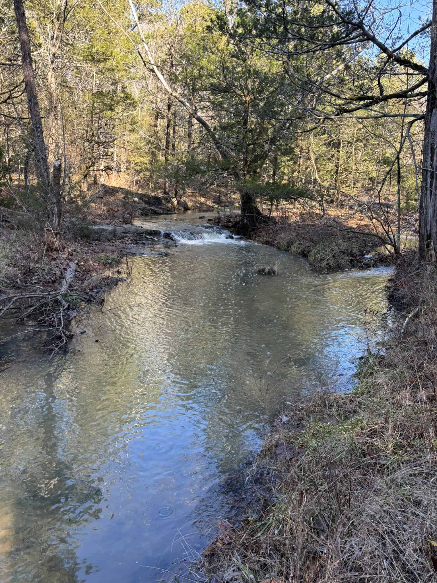 Land for Sale in North Central Arkansas