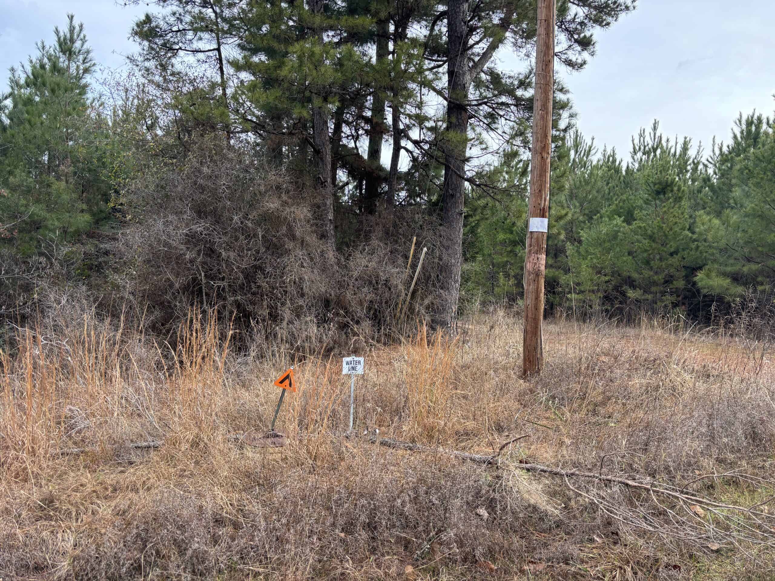 247.5 Acres of Timberland in Kildare, TX