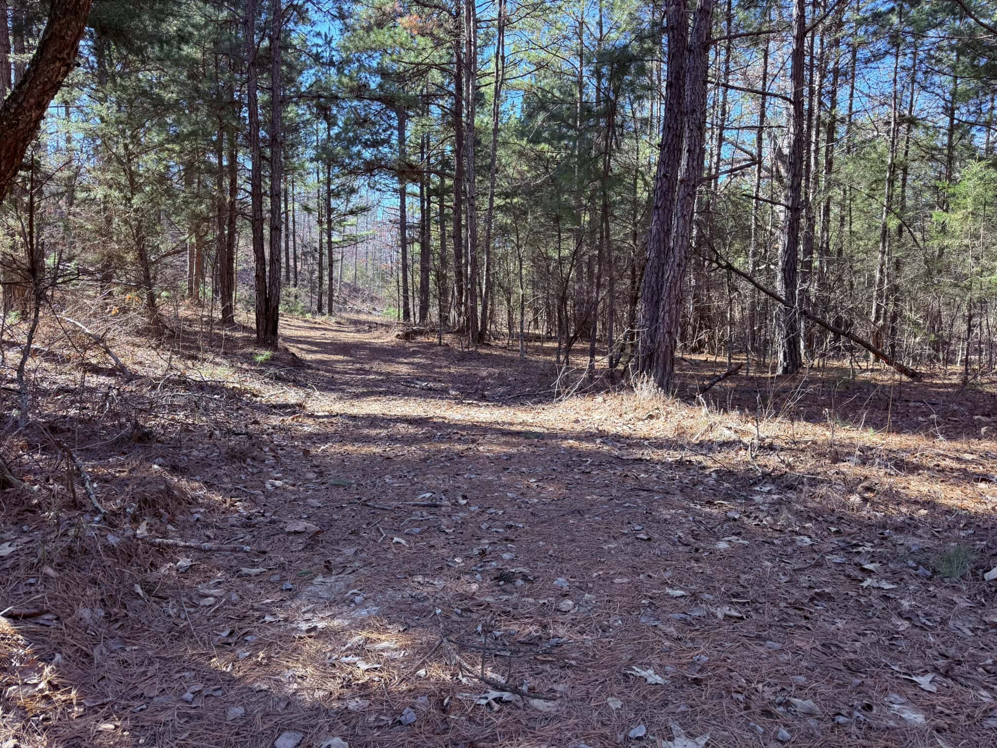 HUNTING LAND FOR SALE IN OZARK MOUNTAINS OF ARKANSAS