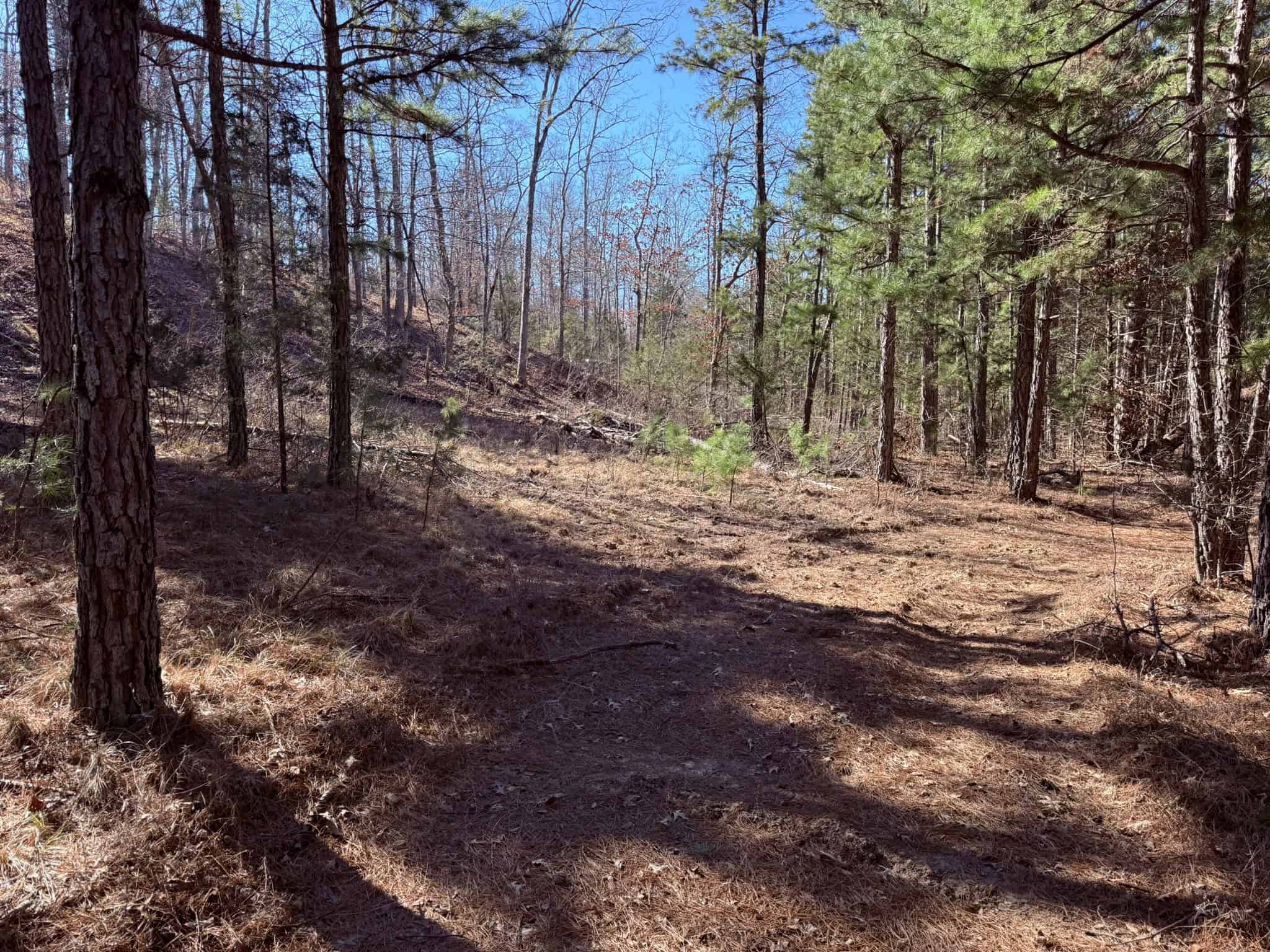 HUNTING LAND FOR SALE IN OZARK MOUNTAINS OF ARKANSAS