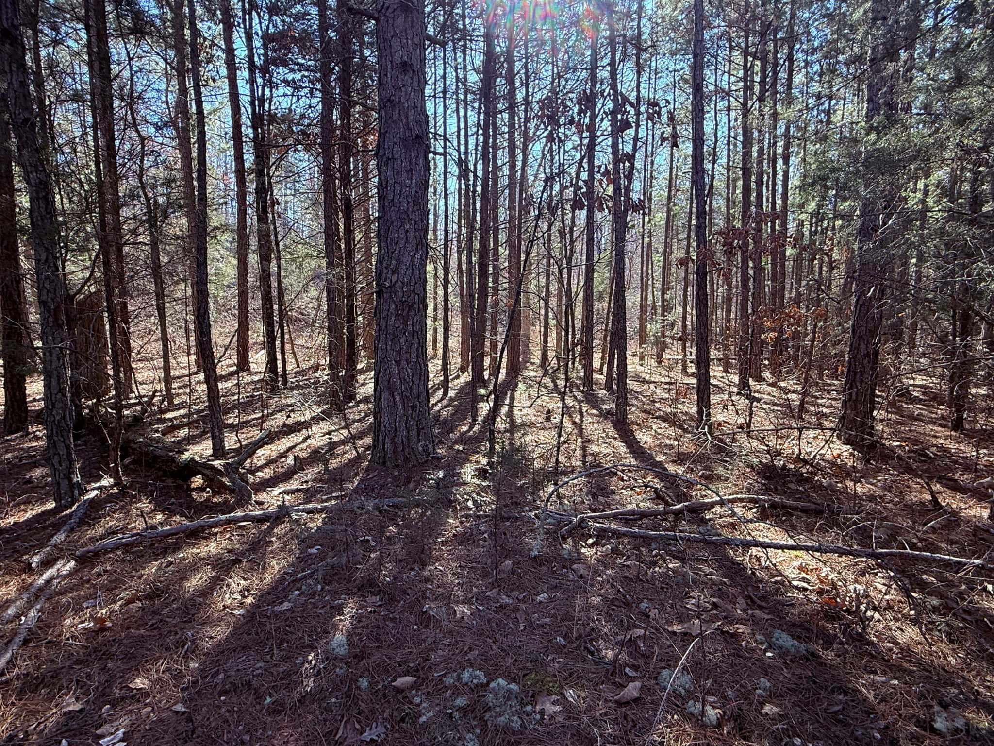 HUNTING LAND FOR SALE IN OZARK MOUNTAINS OF ARKANSAS