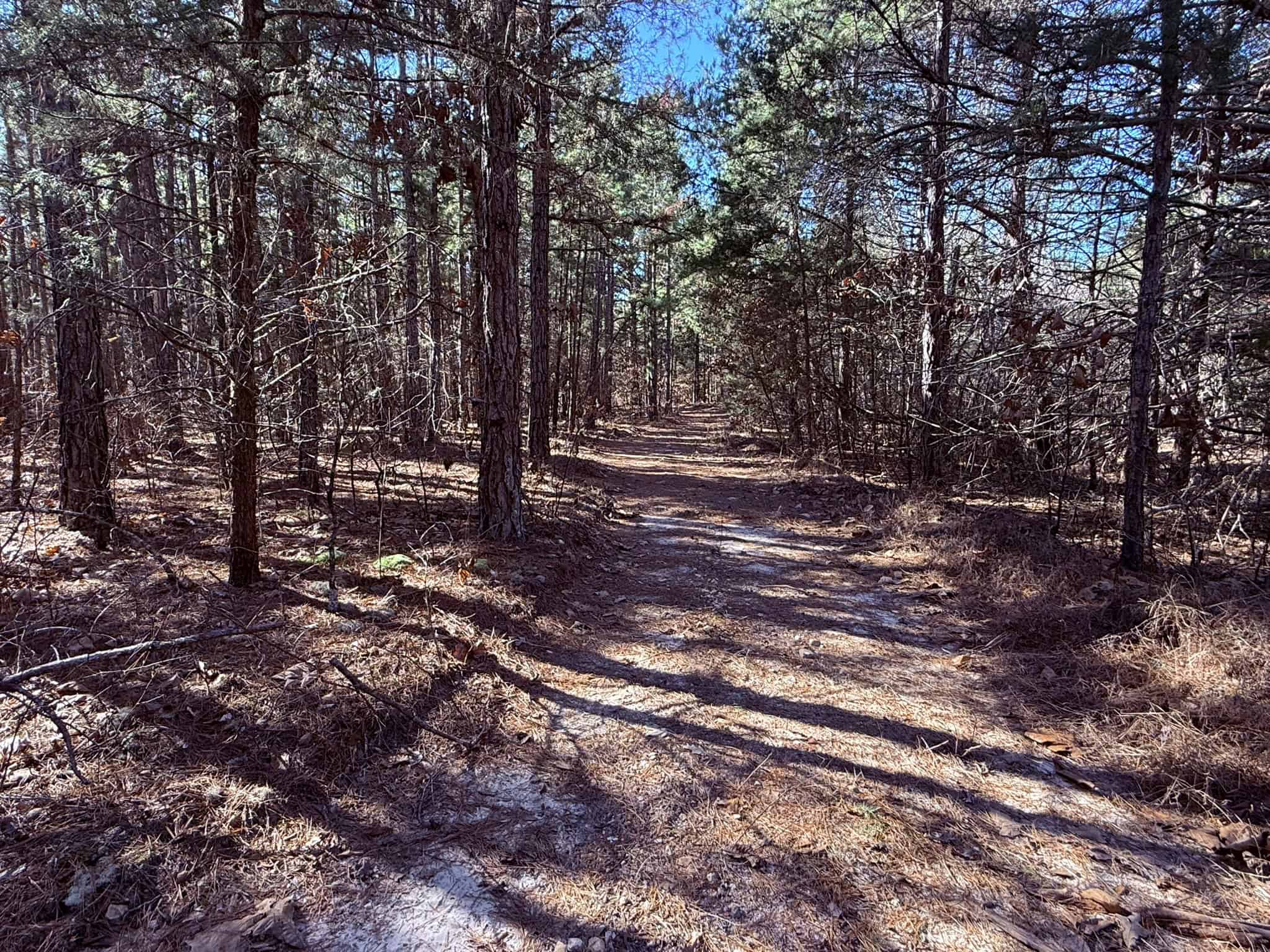 HUNTING LAND FOR SALE IN OZARK MOUNTAINS OF ARKANSAS