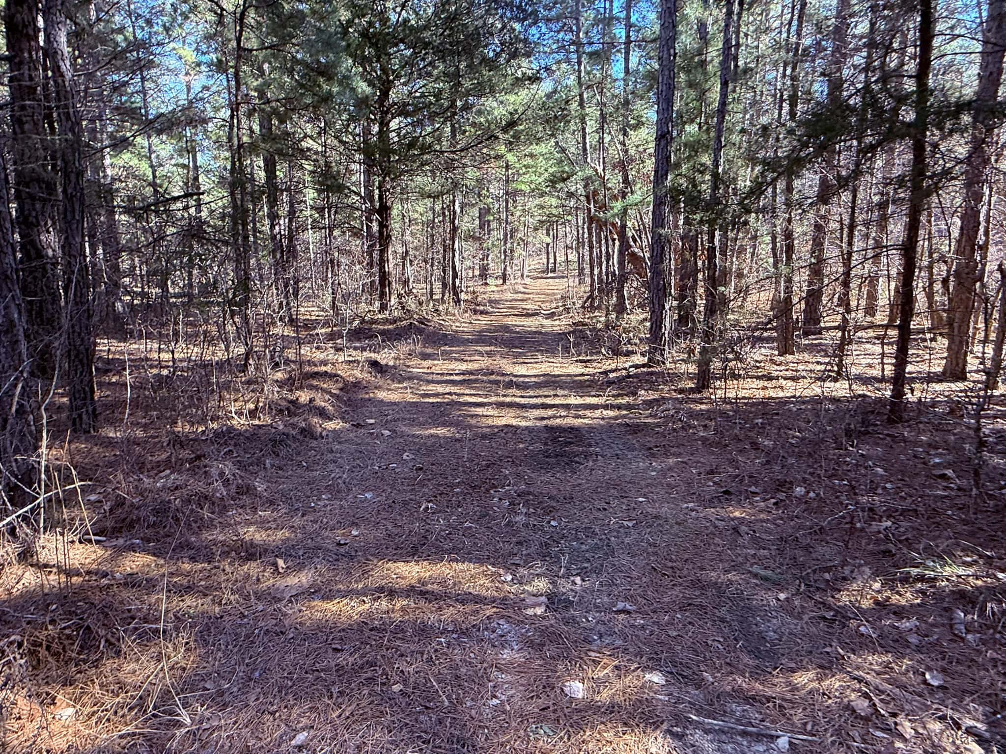 HUNTING LAND FOR SALE IN OZARK MOUNTAINS OF ARKANSAS