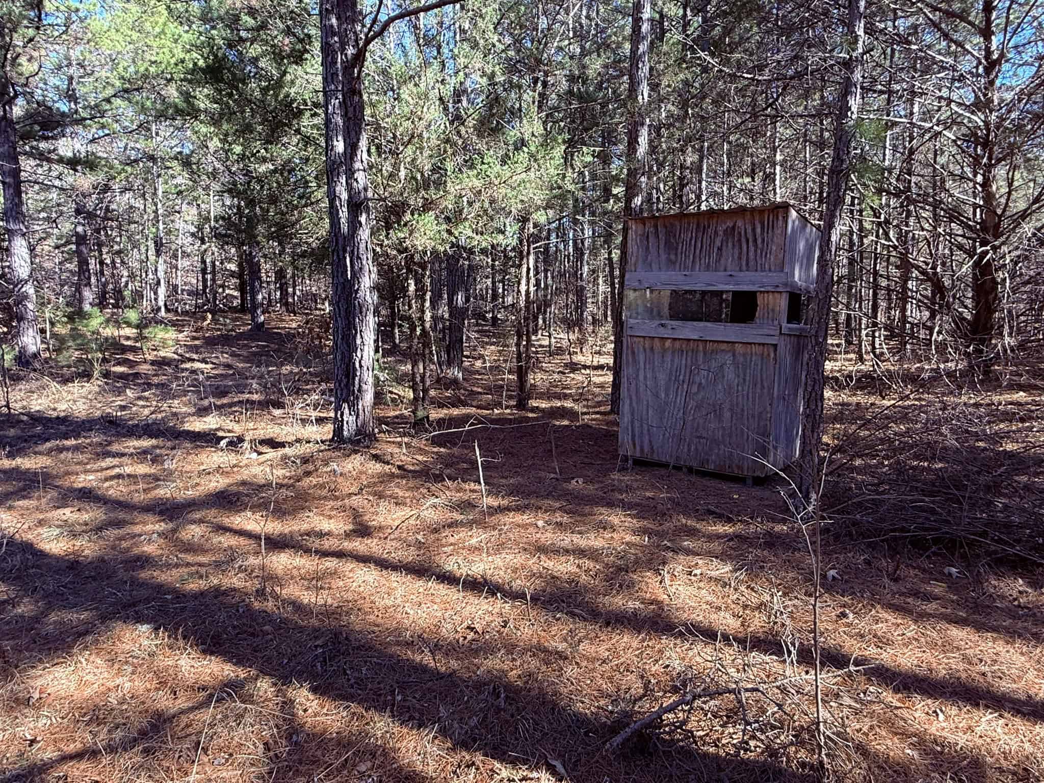 HUNTING LAND FOR SALE IN OZARK MOUNTAINS OF ARKANSAS