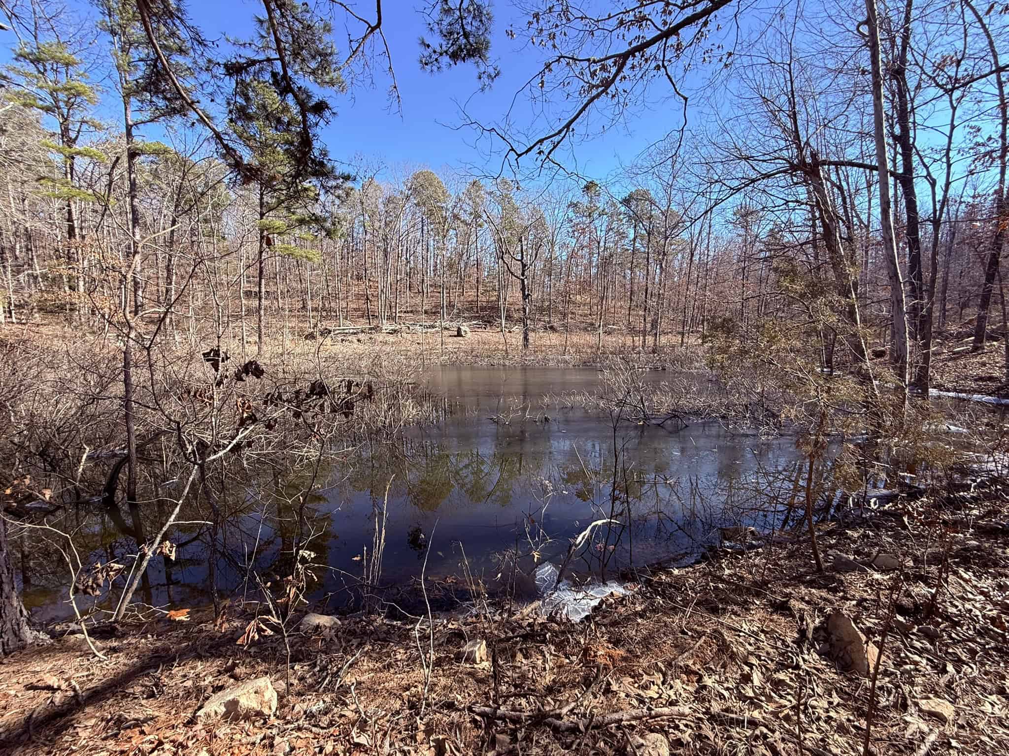 HUNTING LAND FOR SALE IN OZARK MOUNTAINS OF ARKANSAS
