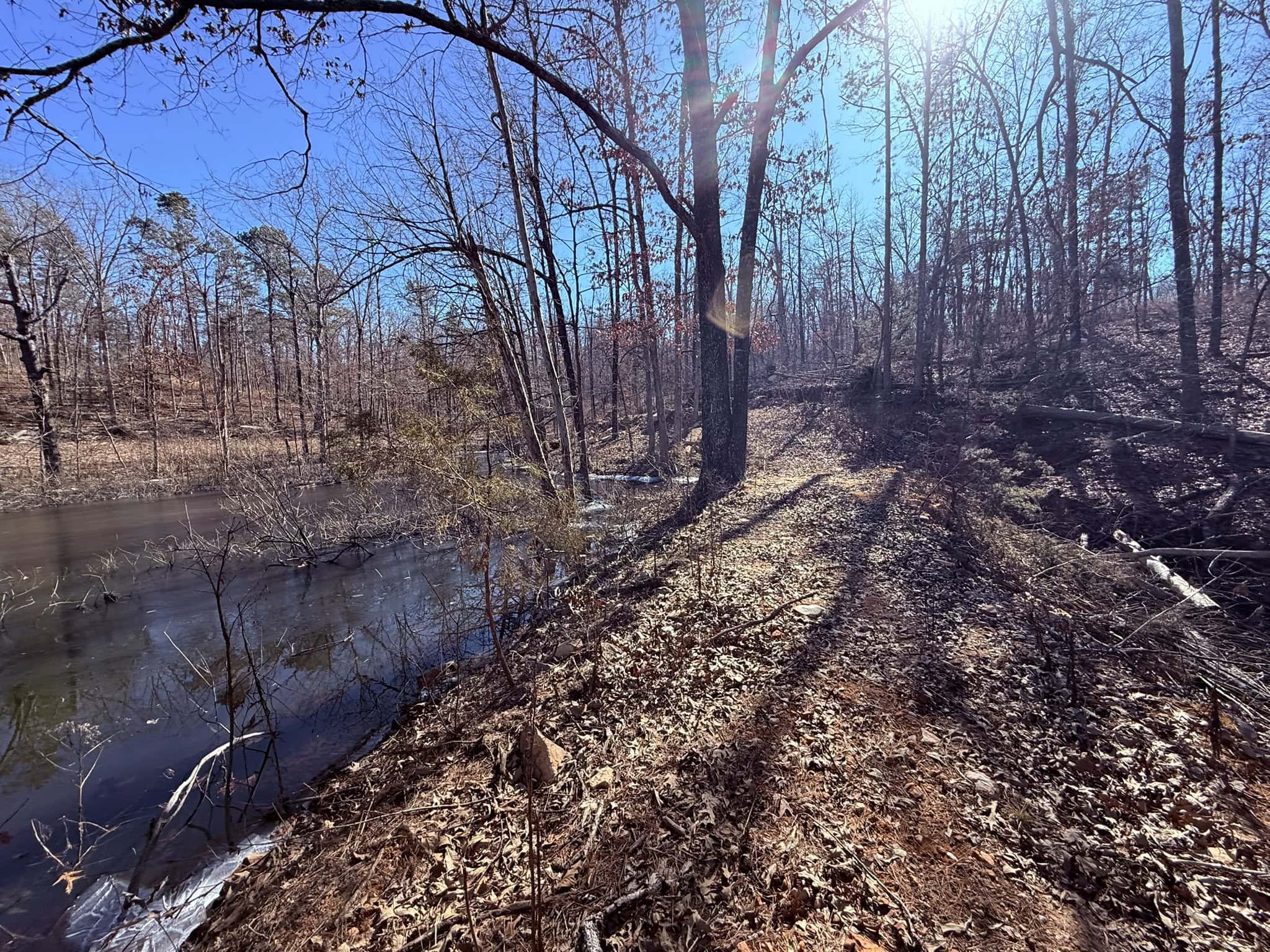 HUNTING LAND FOR SALE IN OZARK MOUNTAINS OF ARKANSAS