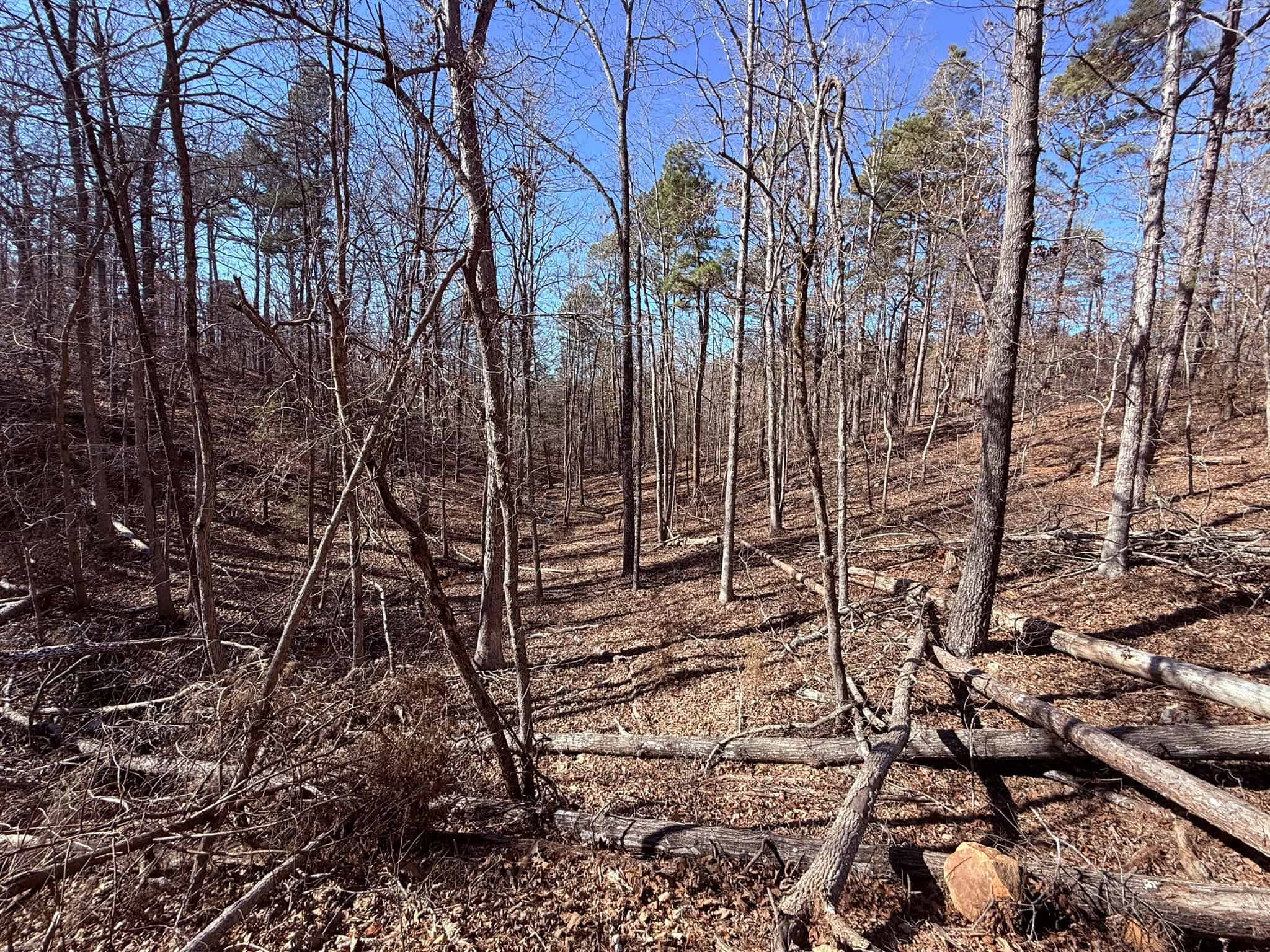HUNTING LAND FOR SALE IN OZARK MOUNTAINS OF ARKANSAS