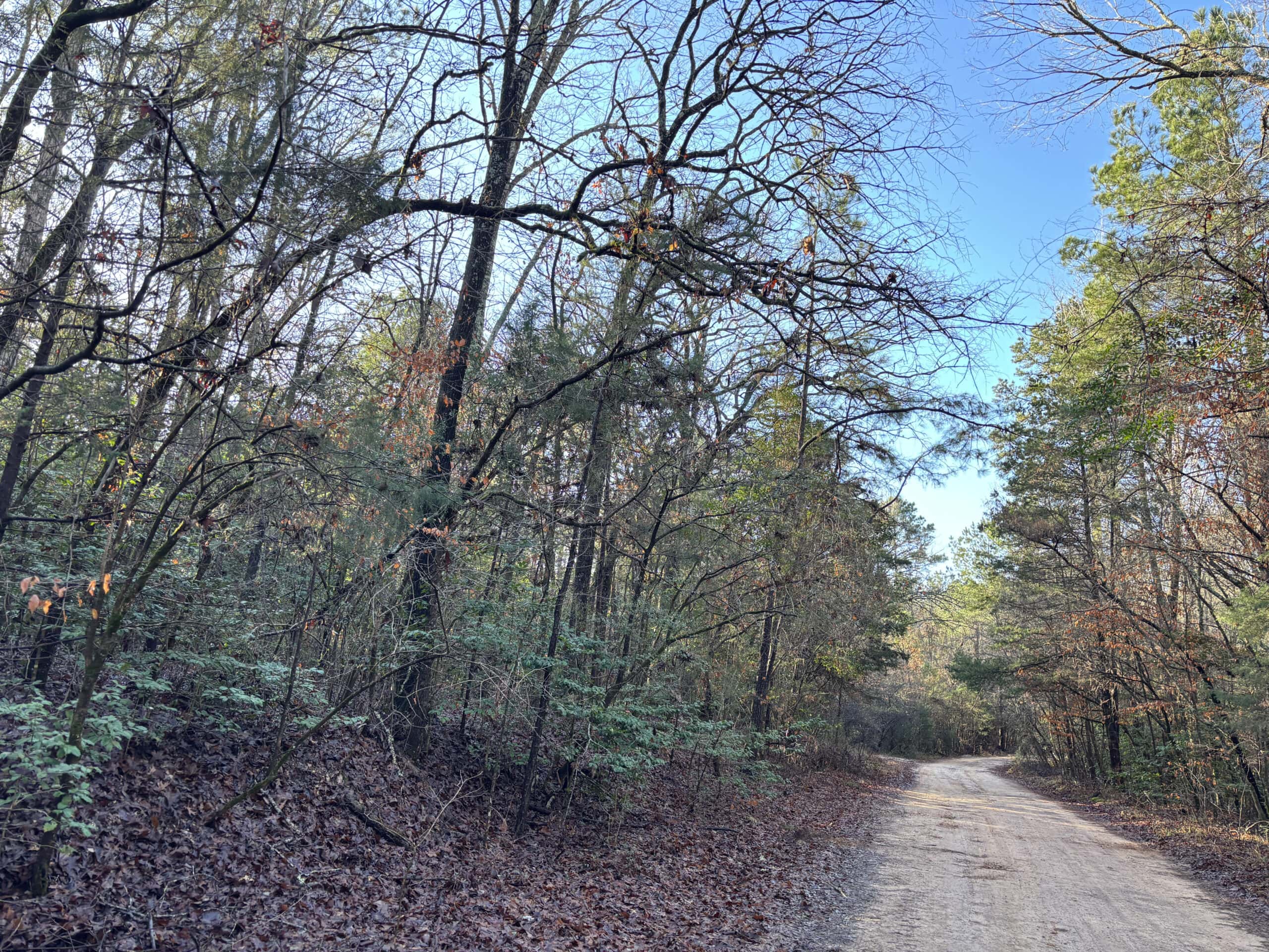 East Texas Timberland/Hunting Property