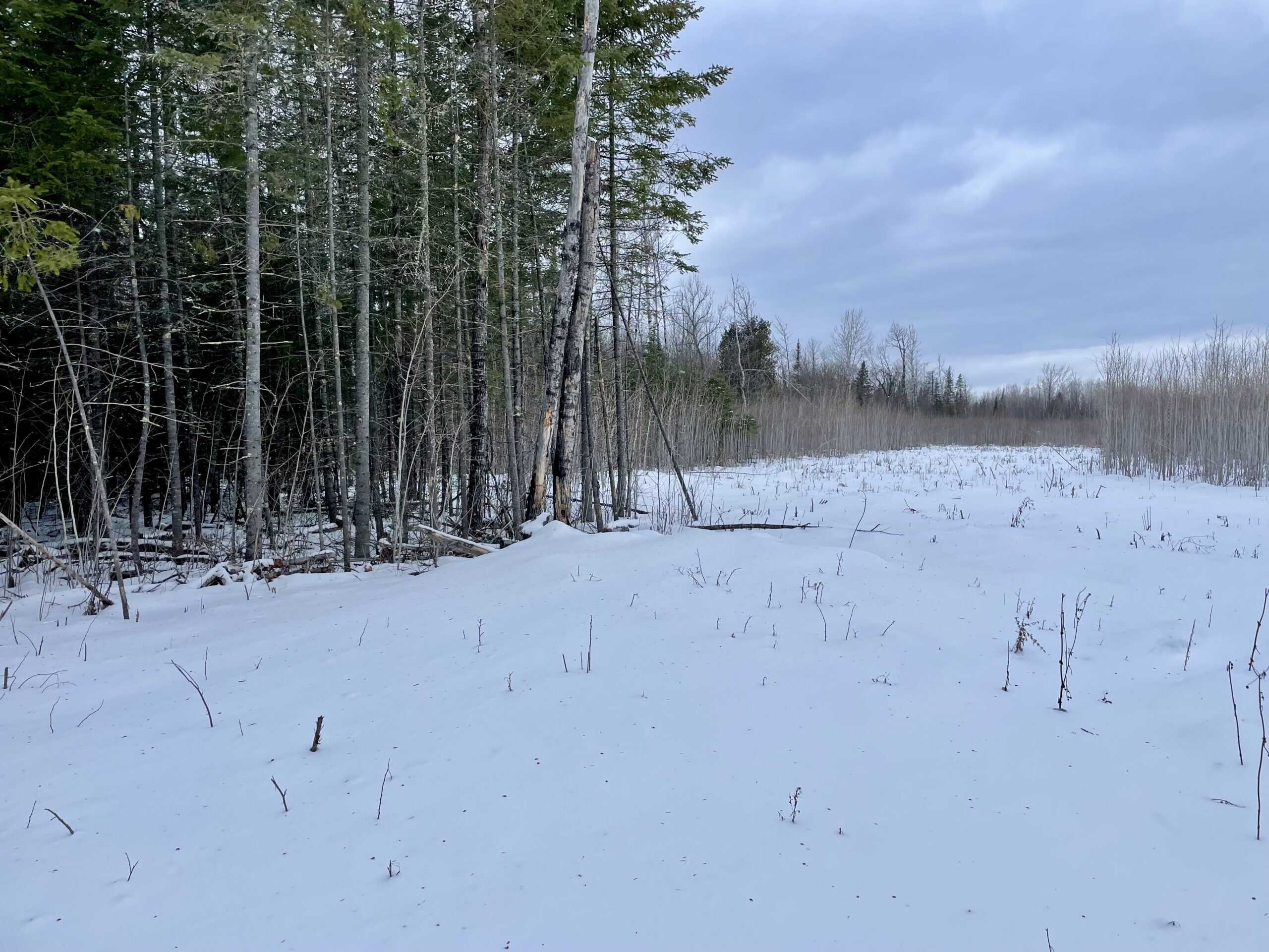The Side Lake 80 Ac – Hunting & Recreational Property In St. Louis County, MN