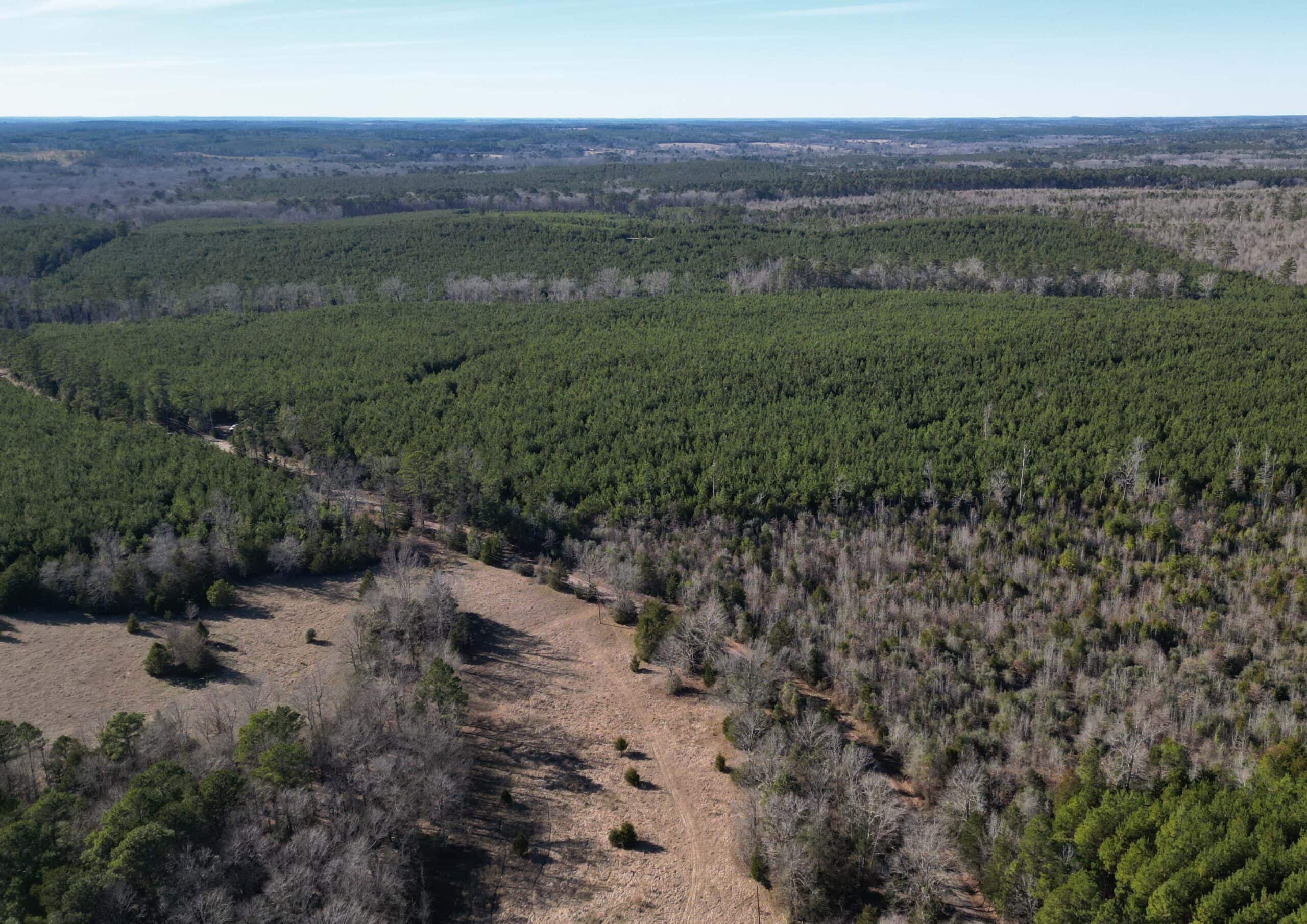 247.5 Acres of Timberland in Kildare, TX