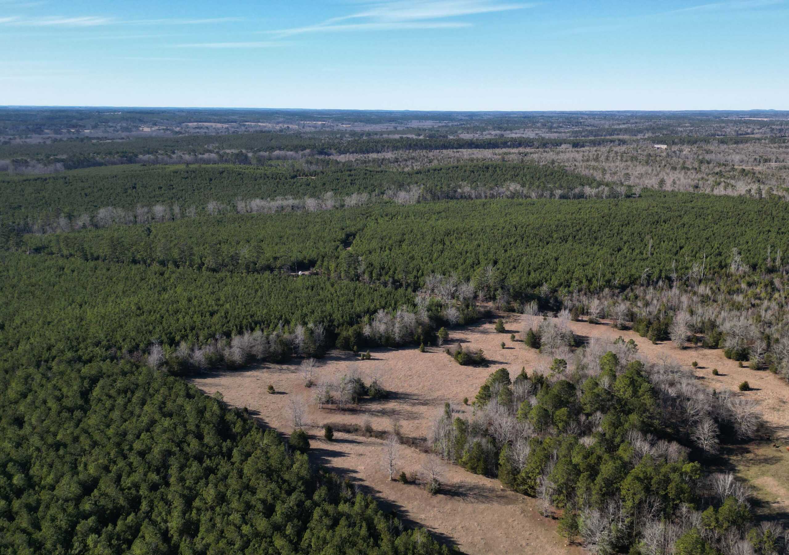 247.5 Acres of Timberland in Kildare, TX