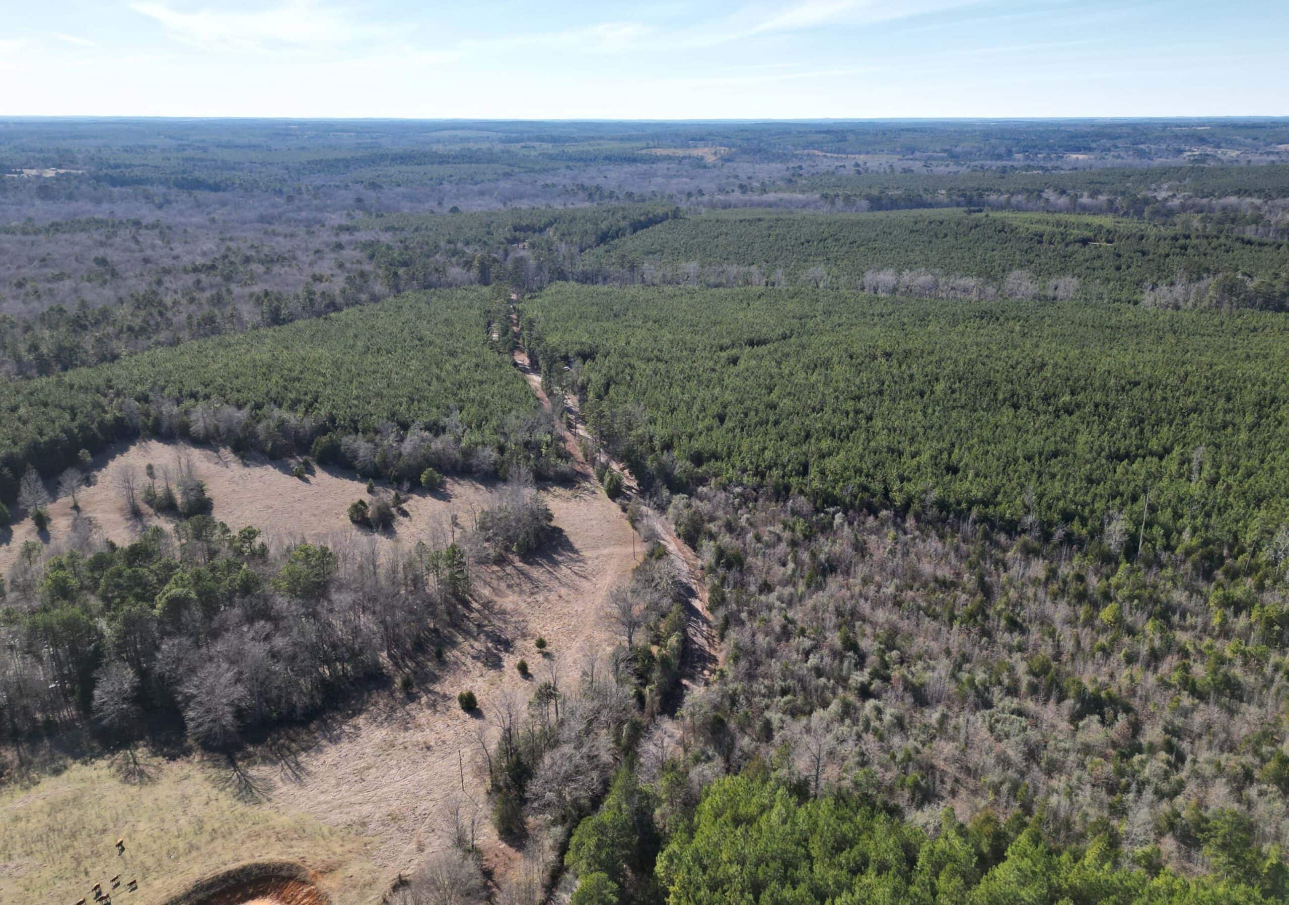 247.5 Acres of Timberland in Kildare, TX