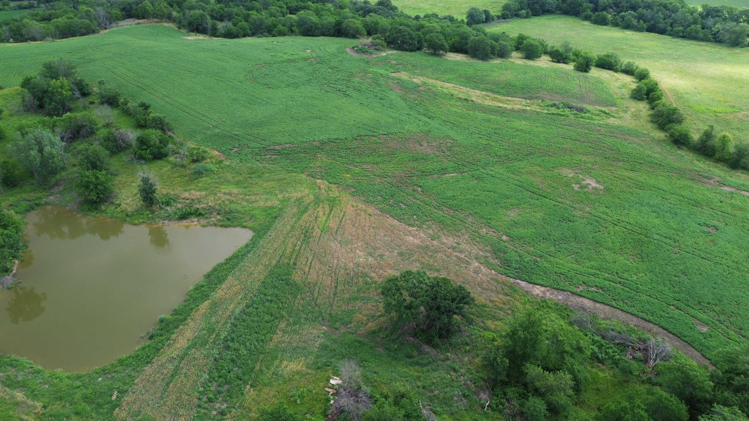 Recreational & Hunting Land For Sale