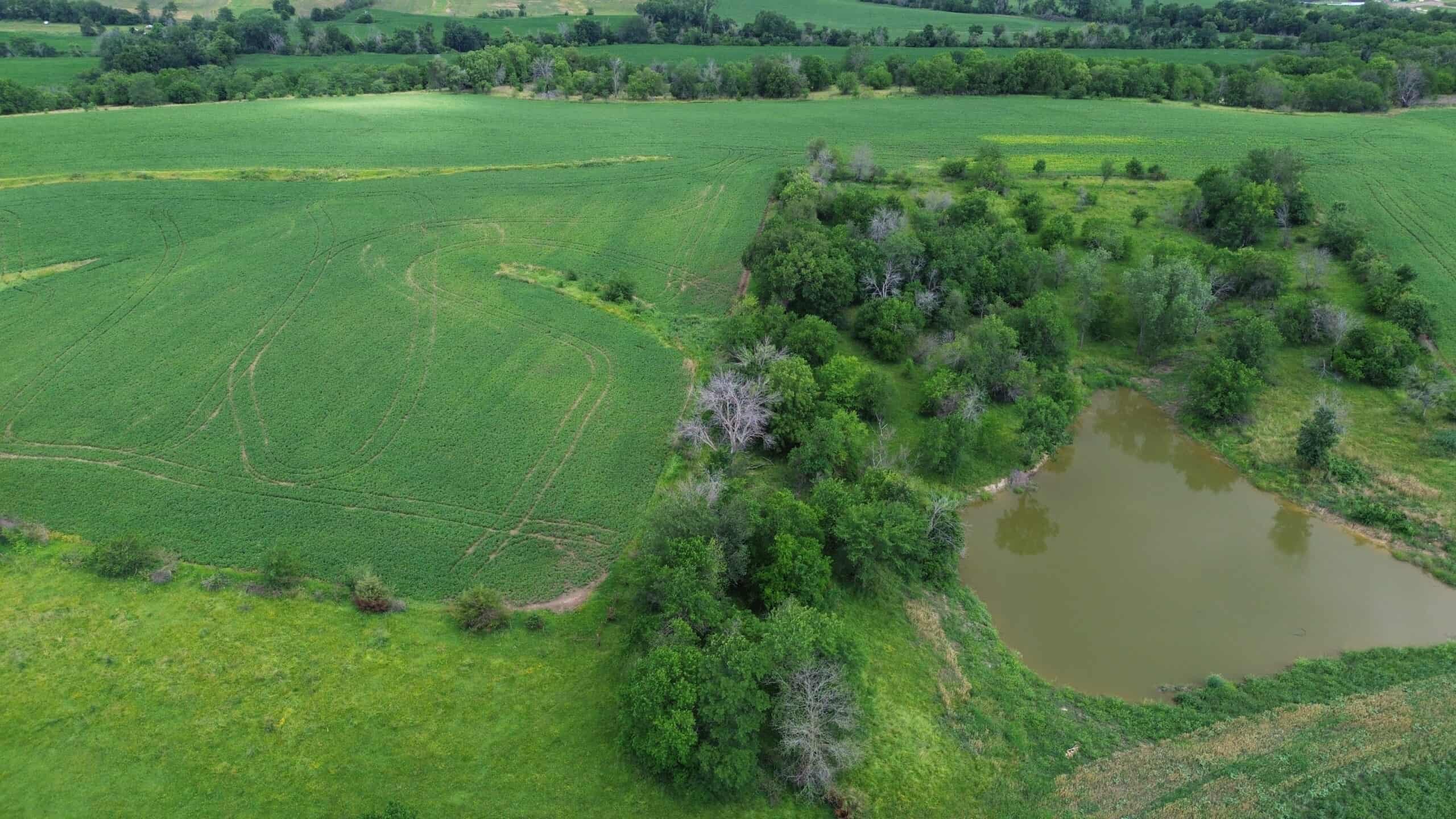 Recreational & Hunting Land For Sale