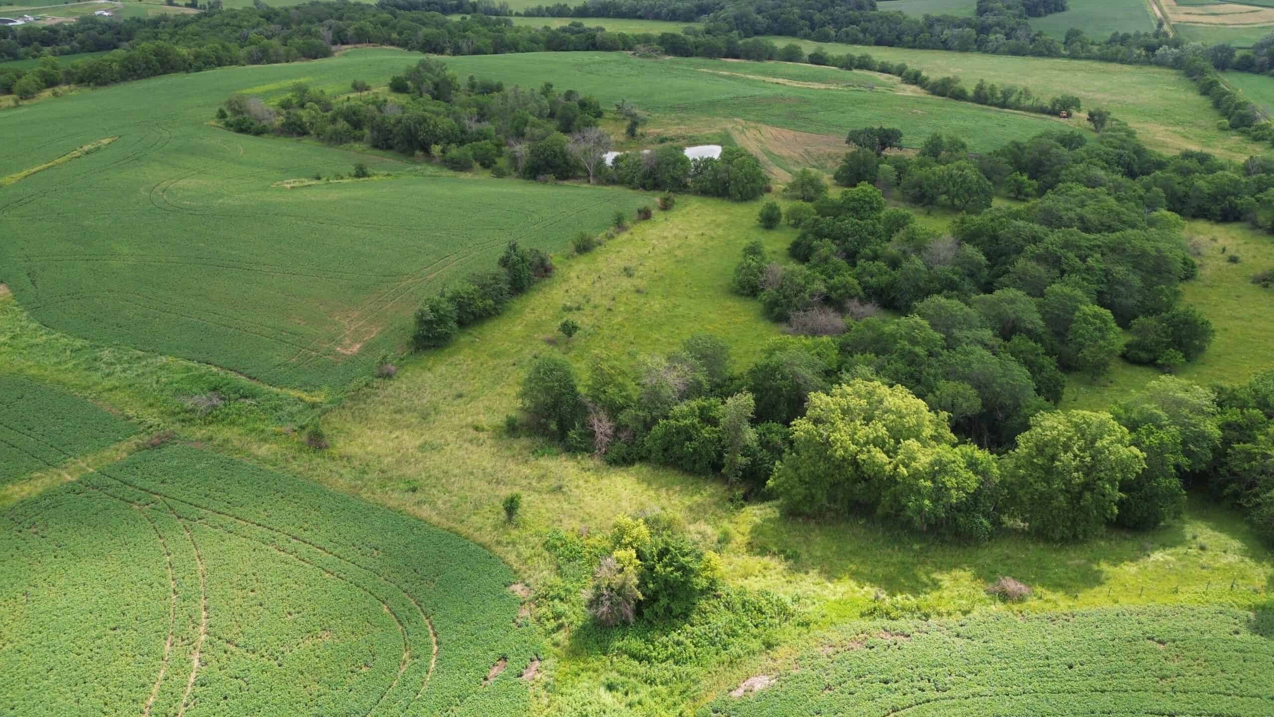 Recreational & Hunting Land For Sale