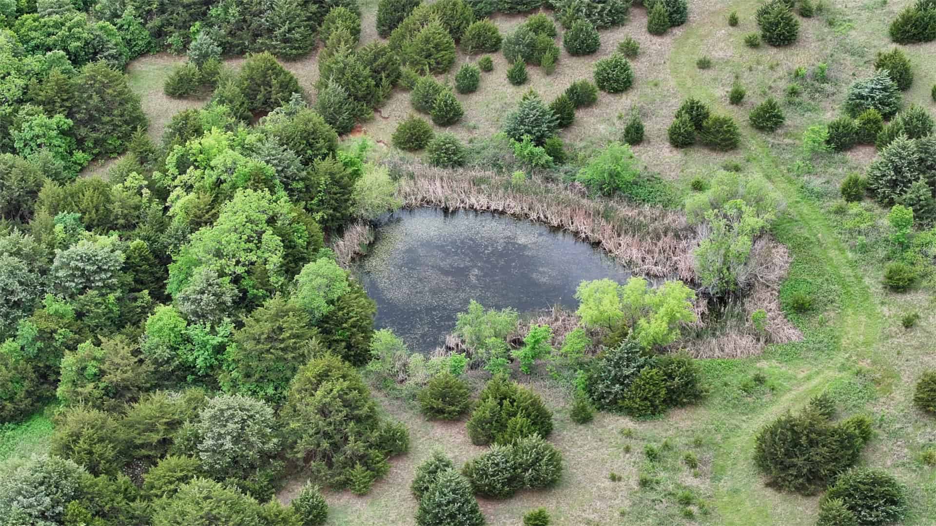 HUNTING/RECREATIONAL LAND FOR SALE, KENDRICK, OK